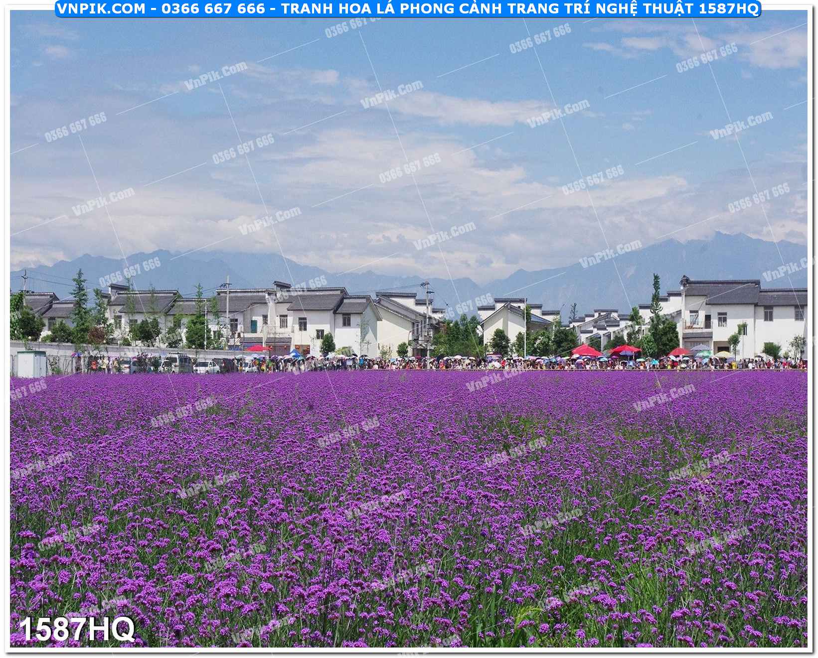 Tranh hoa lá phong cảnh trang trí nghệ thuật 1587HQ