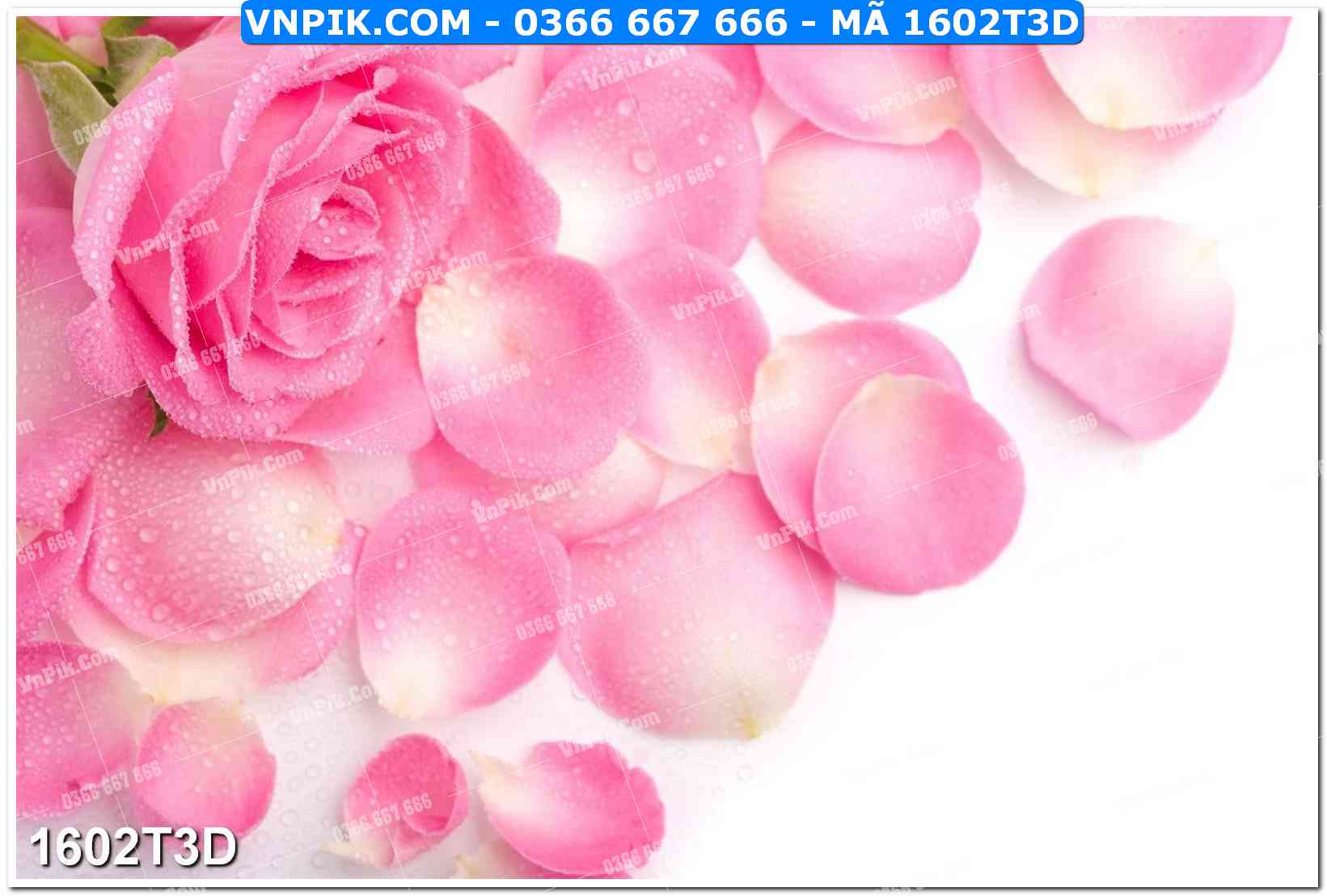 Trah Treo Tường – Tranh 3D Hiện Đại 1602T3D