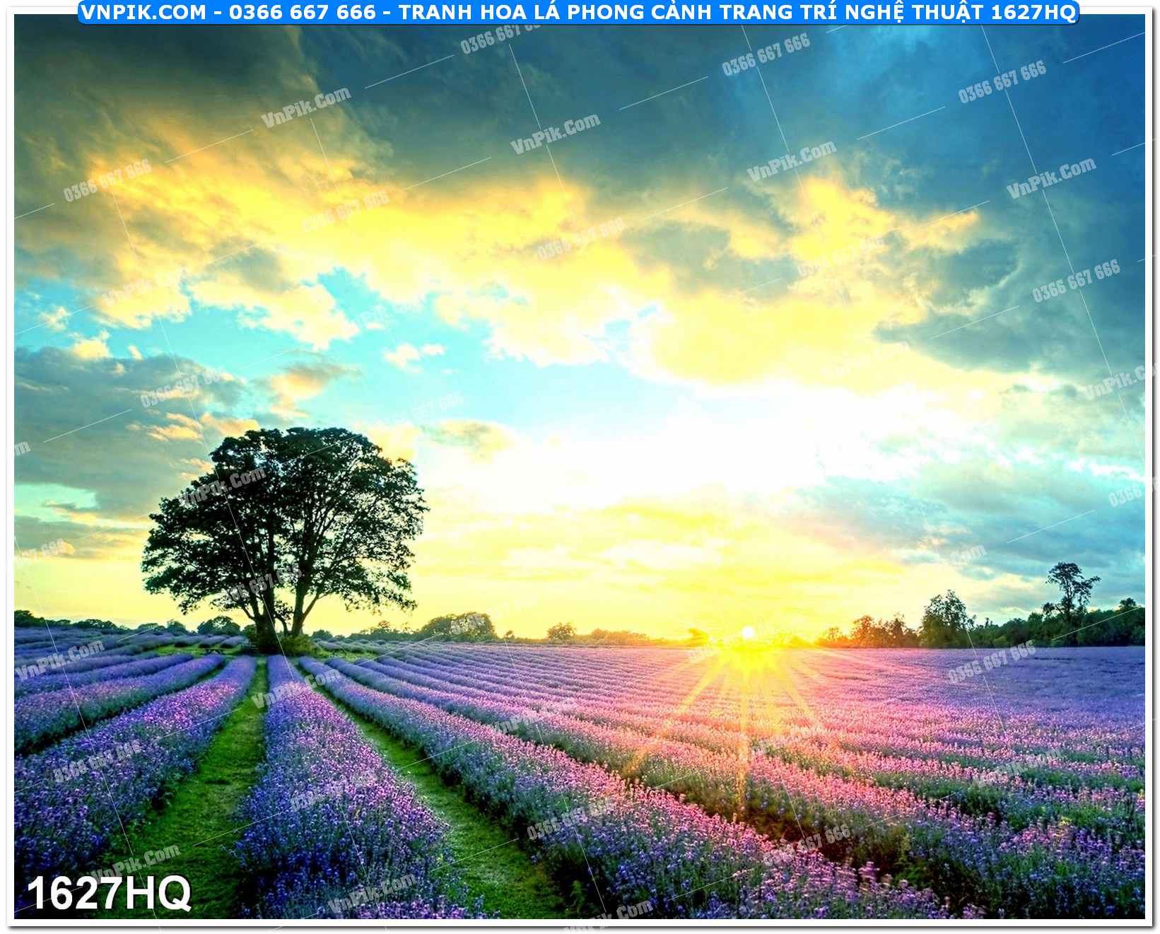Tranh hoa lá phong cảnh trang trí nghệ thuật 1627HQ