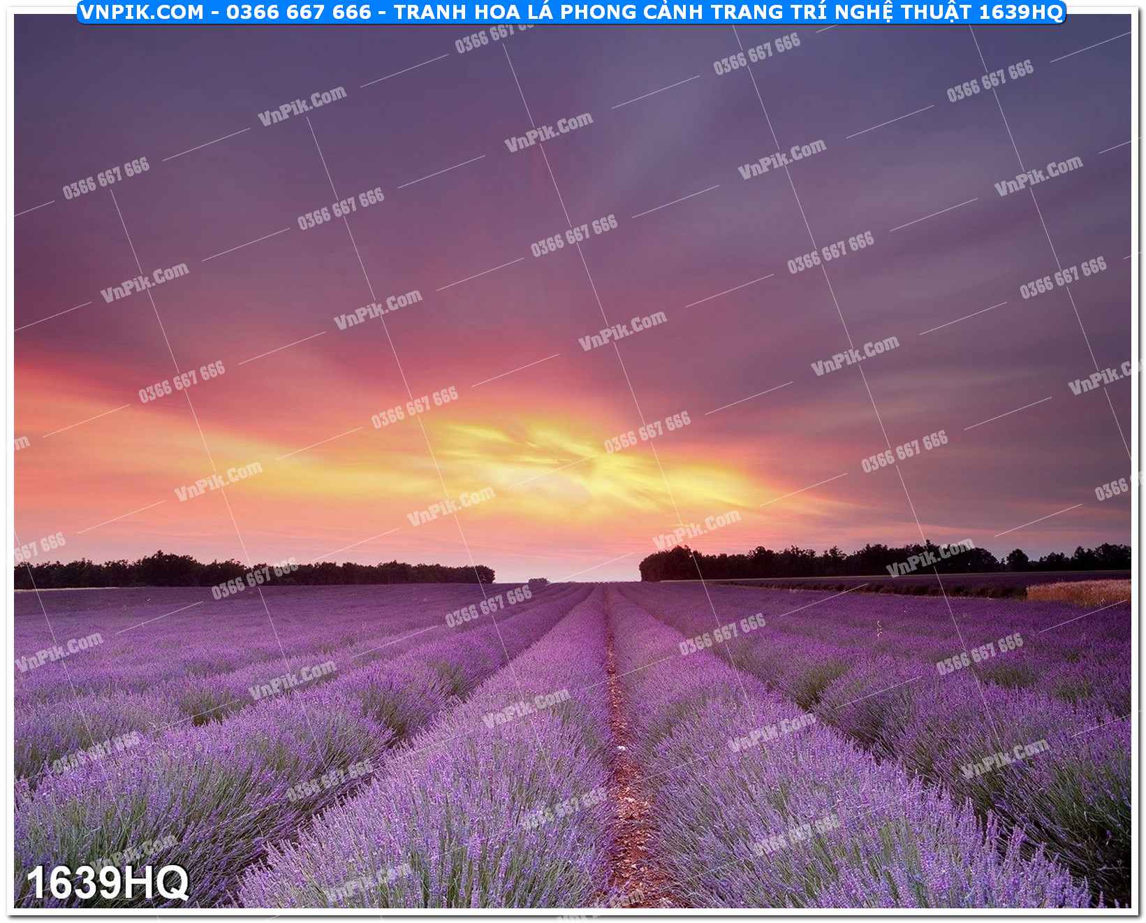 Tranh hoa lá phong cảnh trang trí nghệ thuật 1639HQ