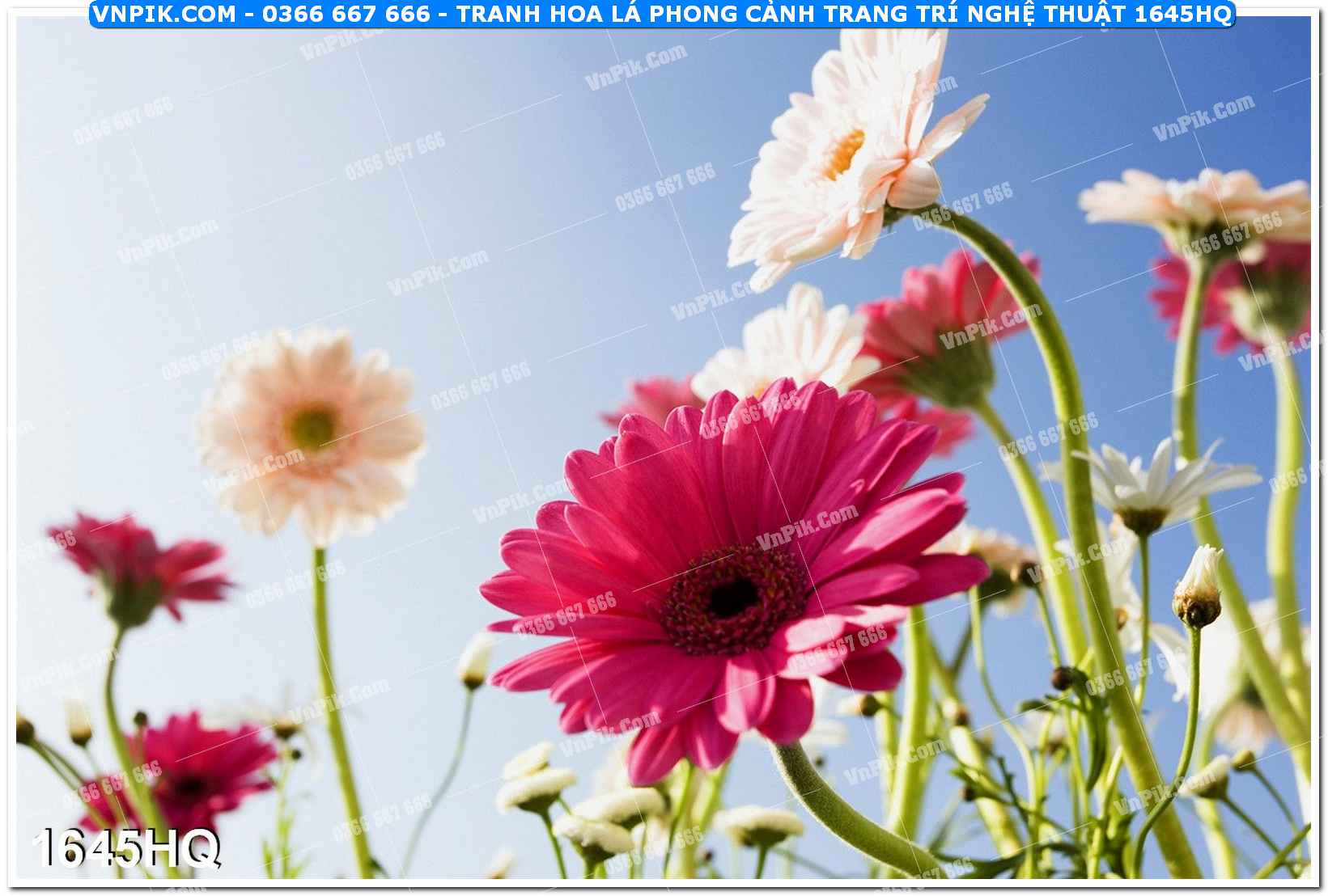 Tranh hoa lá phong cảnh trang trí nghệ thuật 1645HQ