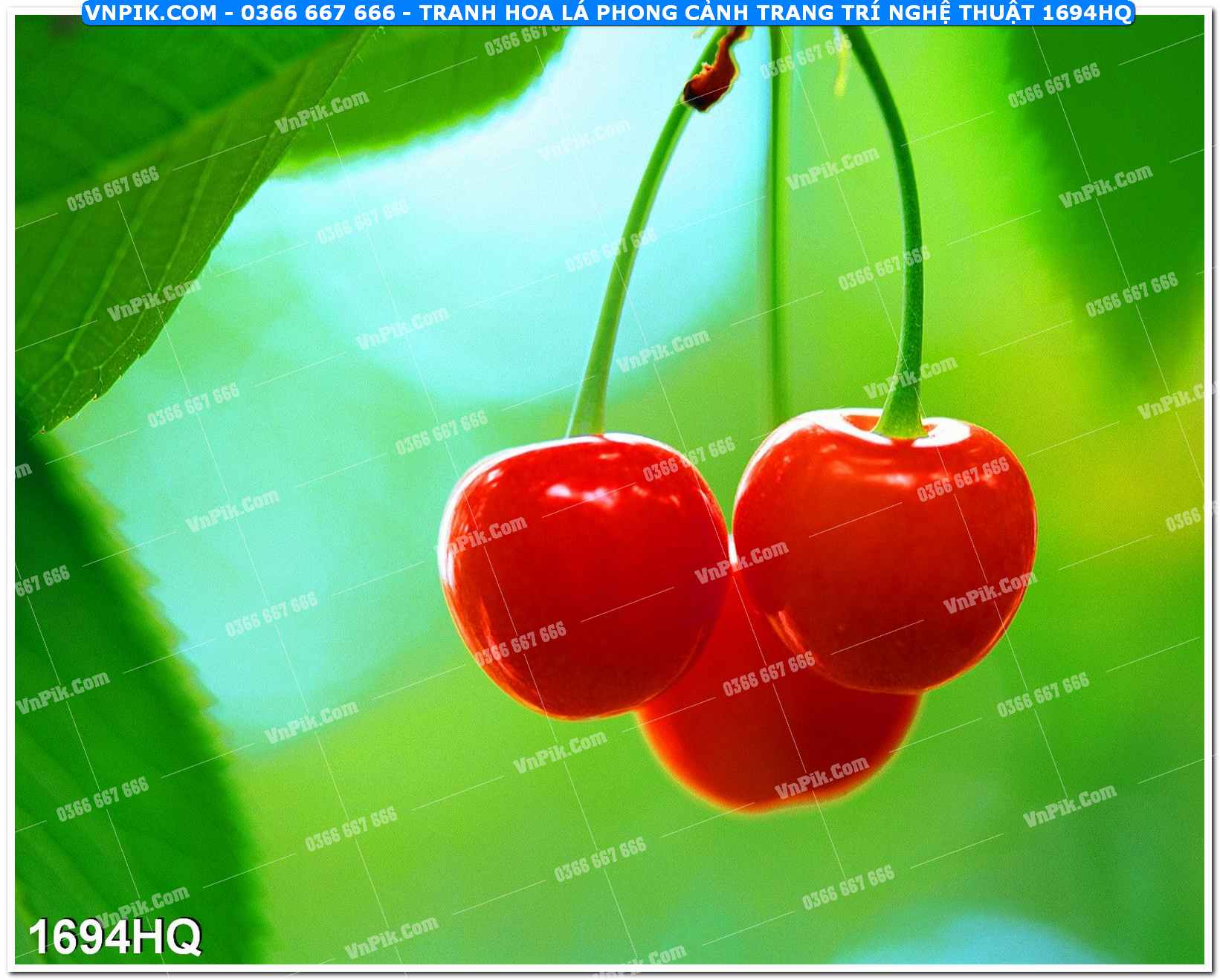 Tranh hoa lá phong cảnh trang trí nghệ thuật 1694HQ