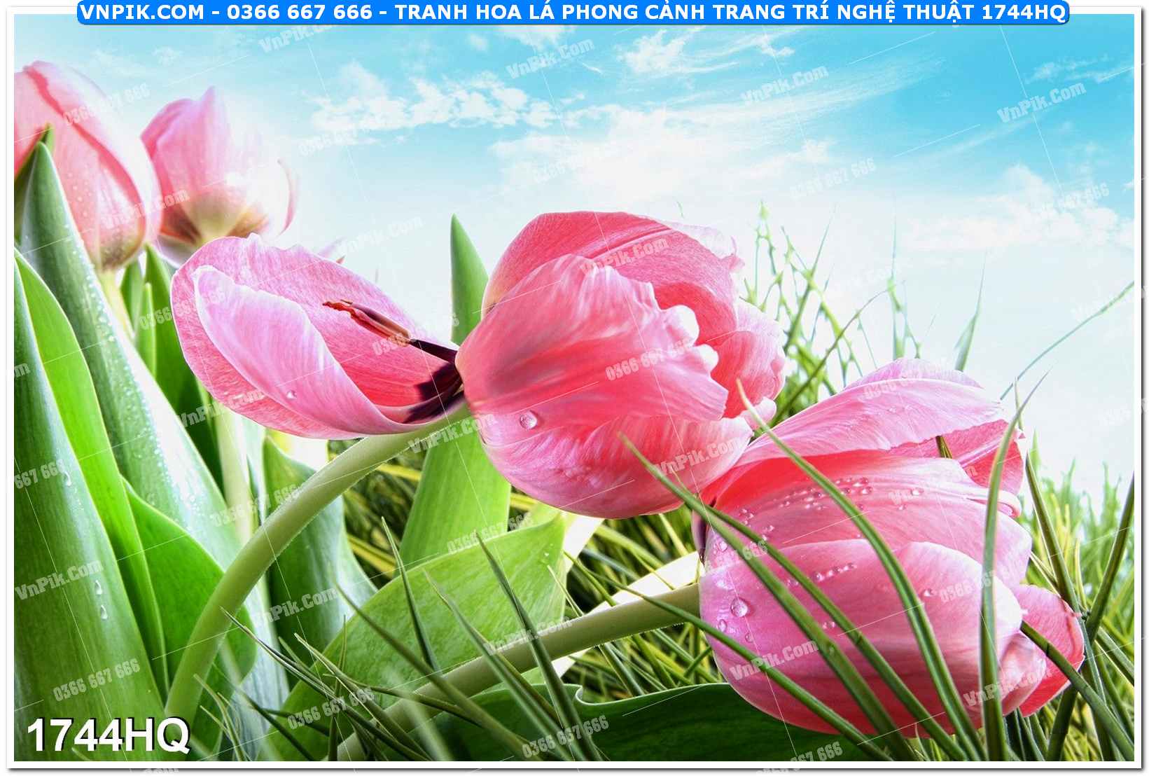 Tranh hoa lá phong cảnh trang trí nghệ thuật 1744HQ