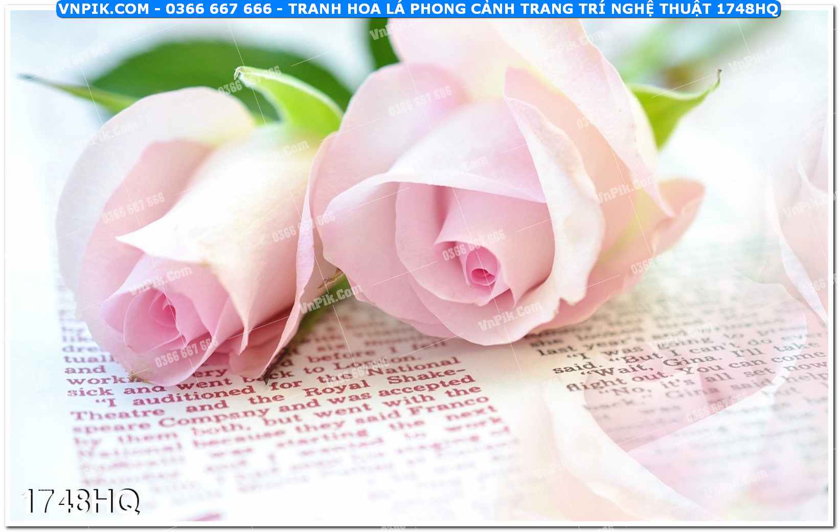 Tranh hoa lá phong cảnh trang trí nghệ thuật 1748HQ