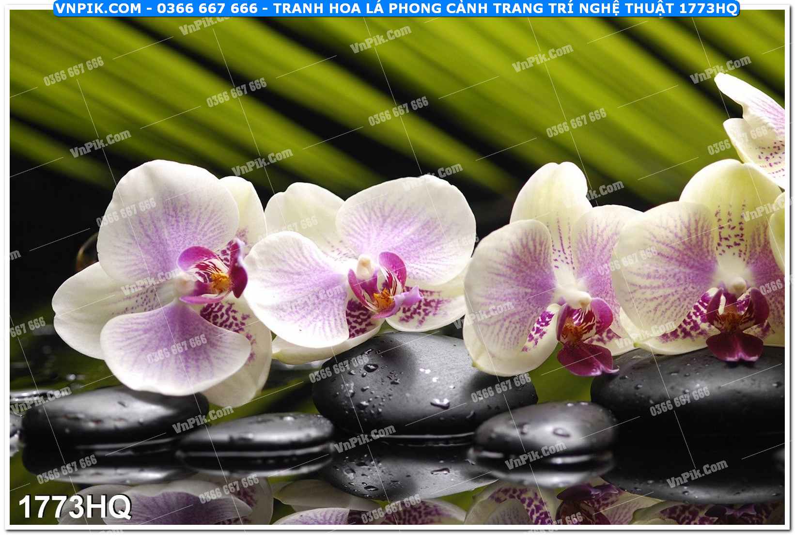 Tranh hoa lá phong cảnh trang trí nghệ thuật 1773HQ