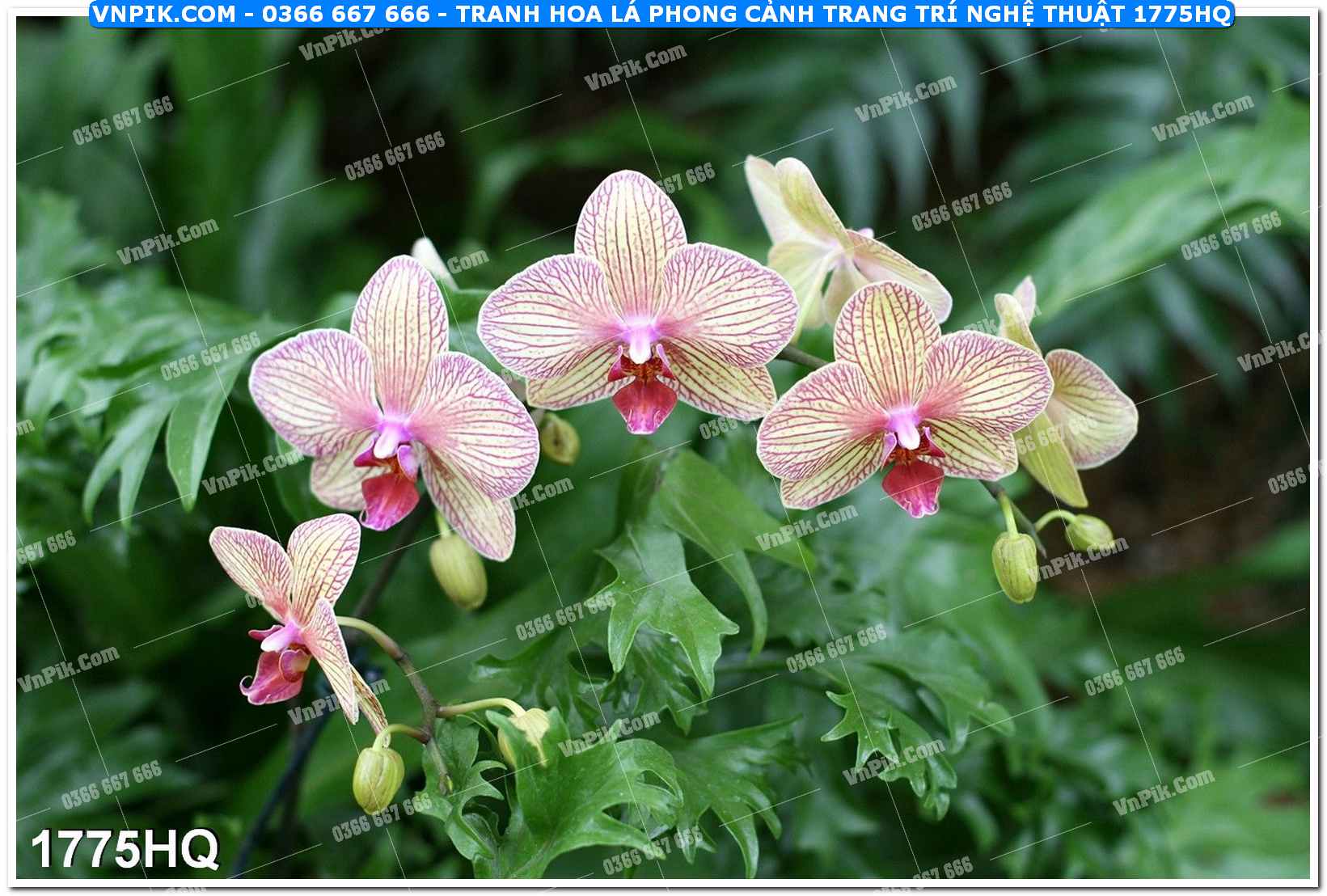 Tranh hoa lá phong cảnh trang trí nghệ thuật 1775HQ