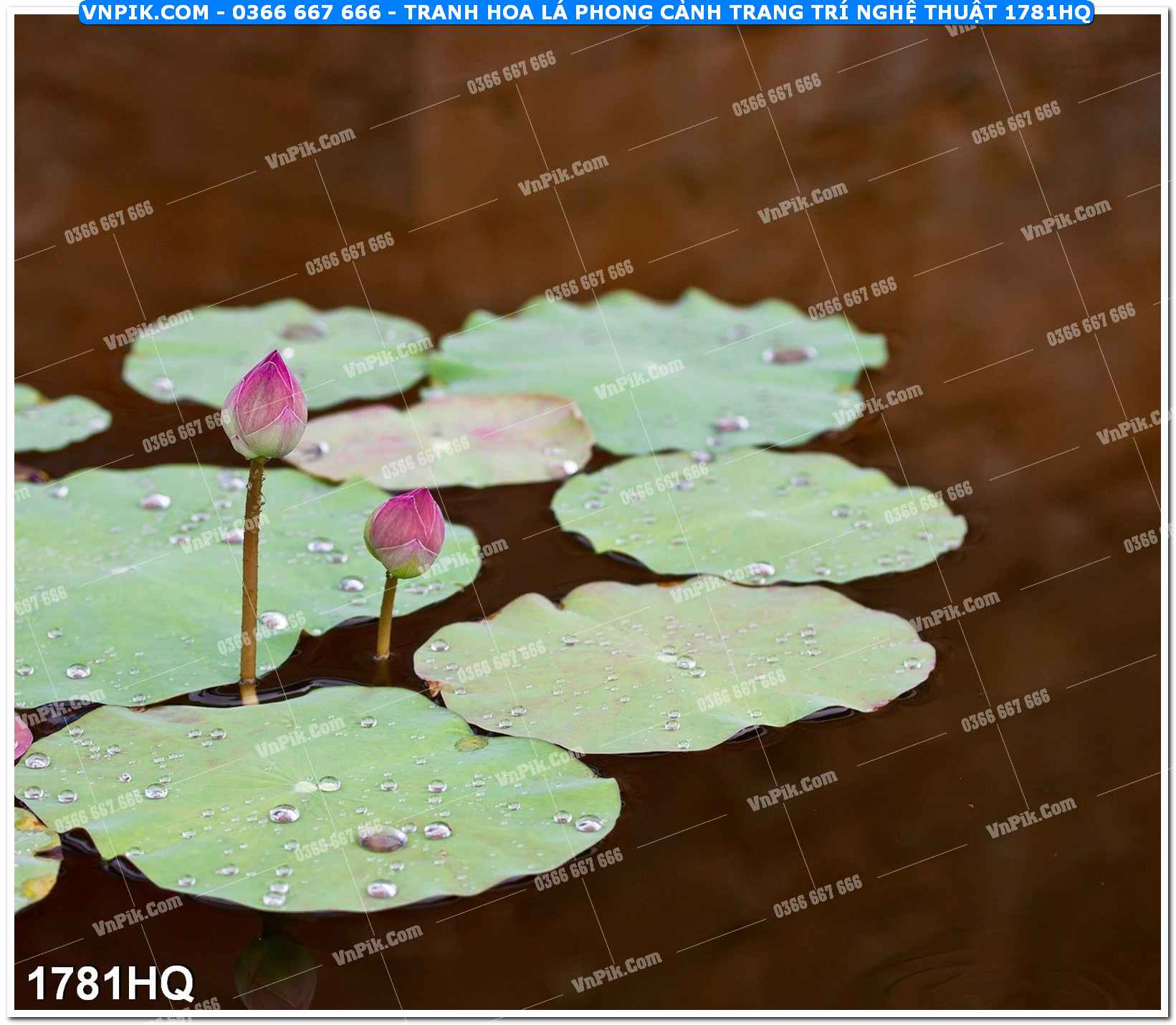 Tranh hoa lá phong cảnh trang trí nghệ thuật 1781HQ