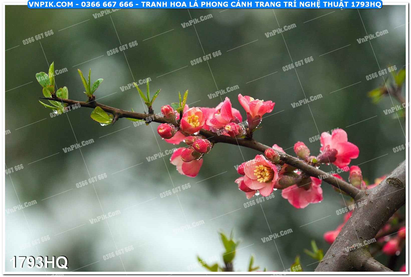 Tranh hoa lá phong cảnh trang trí nghệ thuật 1793HQ