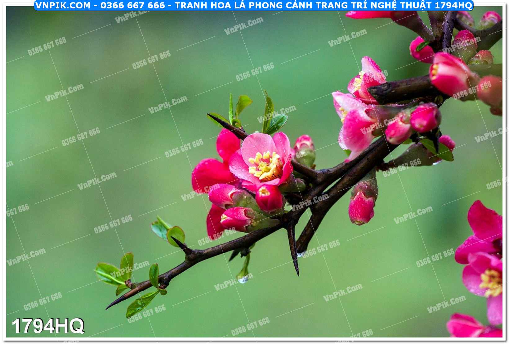 Tranh hoa lá phong cảnh trang trí nghệ thuật 1794HQ