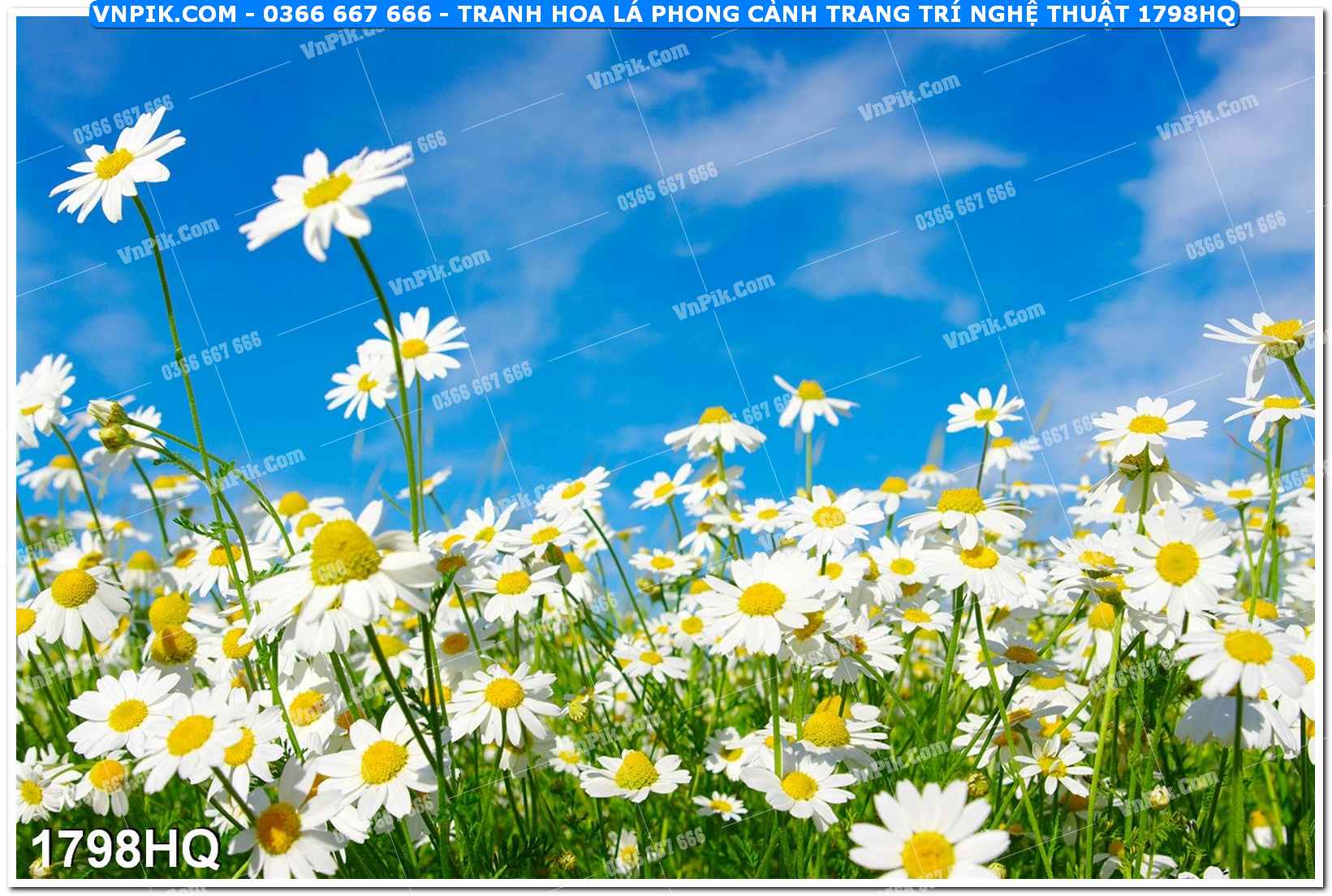Tranh hoa lá phong cảnh trang trí nghệ thuật 1798HQ