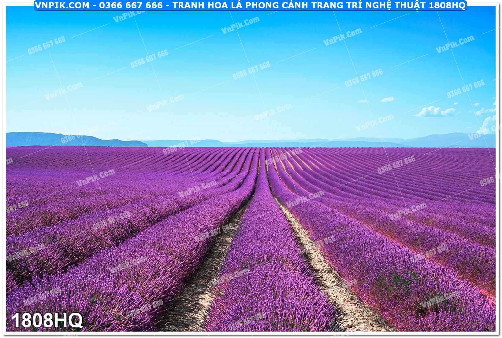 Tranh hoa lá phong cảnh trang trí nghệ thuật 1808HQ