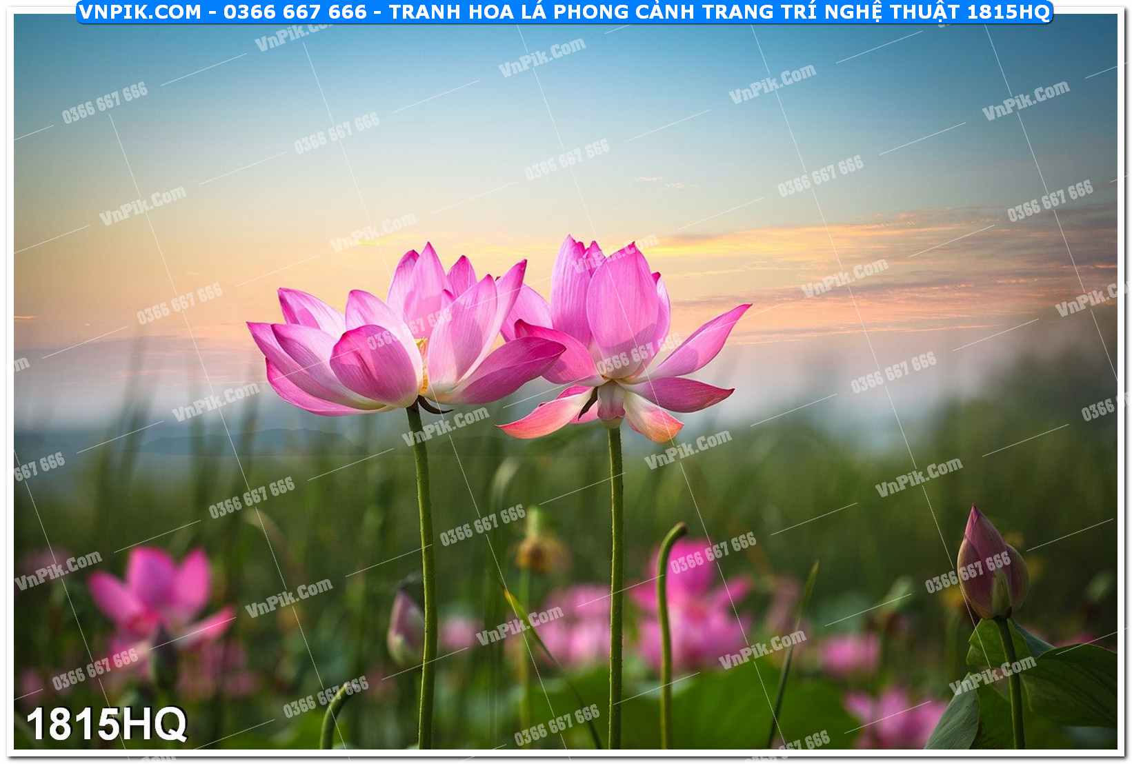 Tranh hoa lá phong cảnh trang trí nghệ thuật 1815HQ