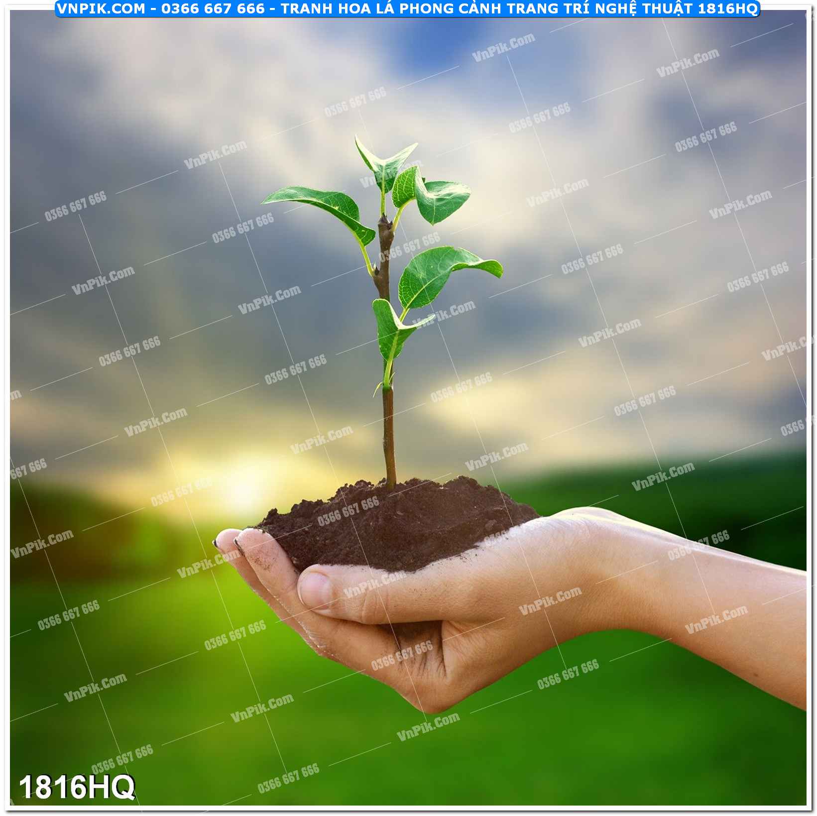 Tranh hoa lá phong cảnh trang trí nghệ thuật 1816HQ