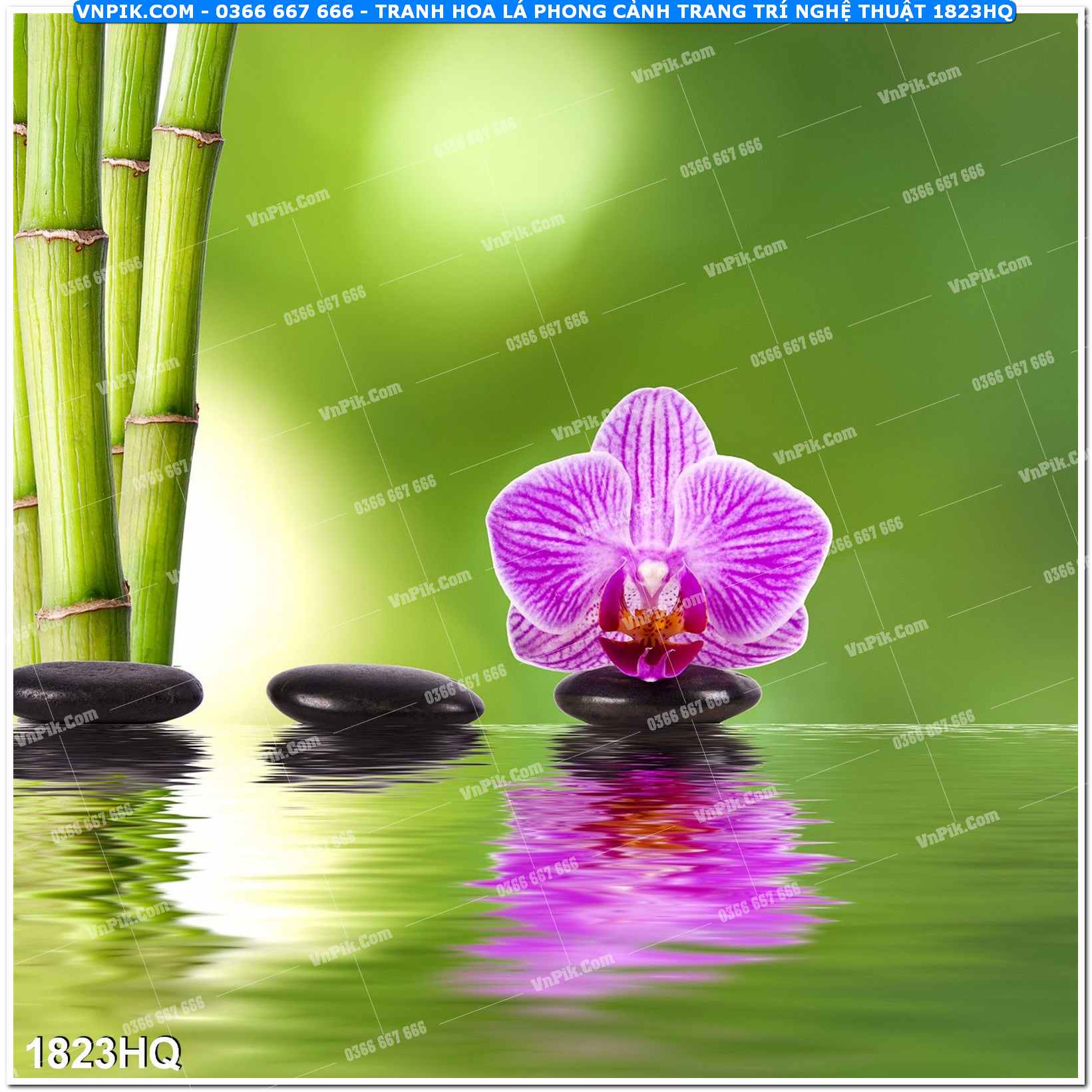 Tranh hoa lá phong cảnh trang trí nghệ thuật 1823HQ