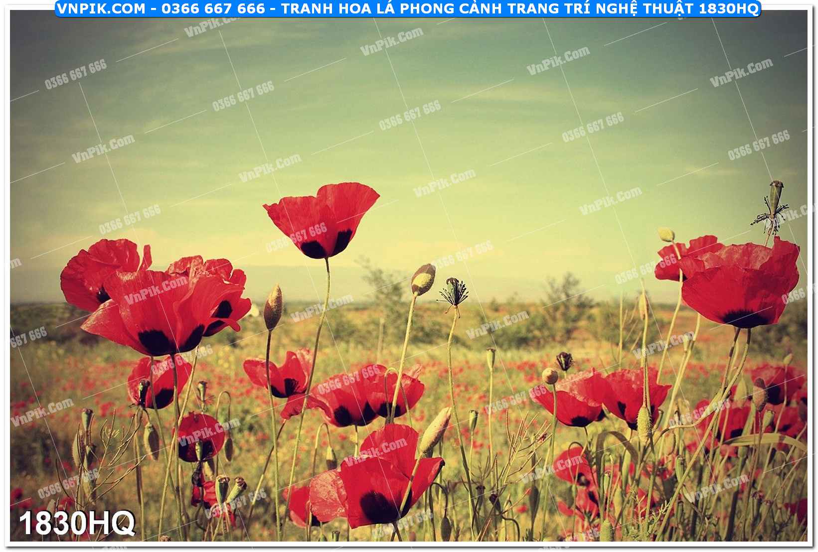 Tranh hoa lá phong cảnh trang trí nghệ thuật 1830HQ