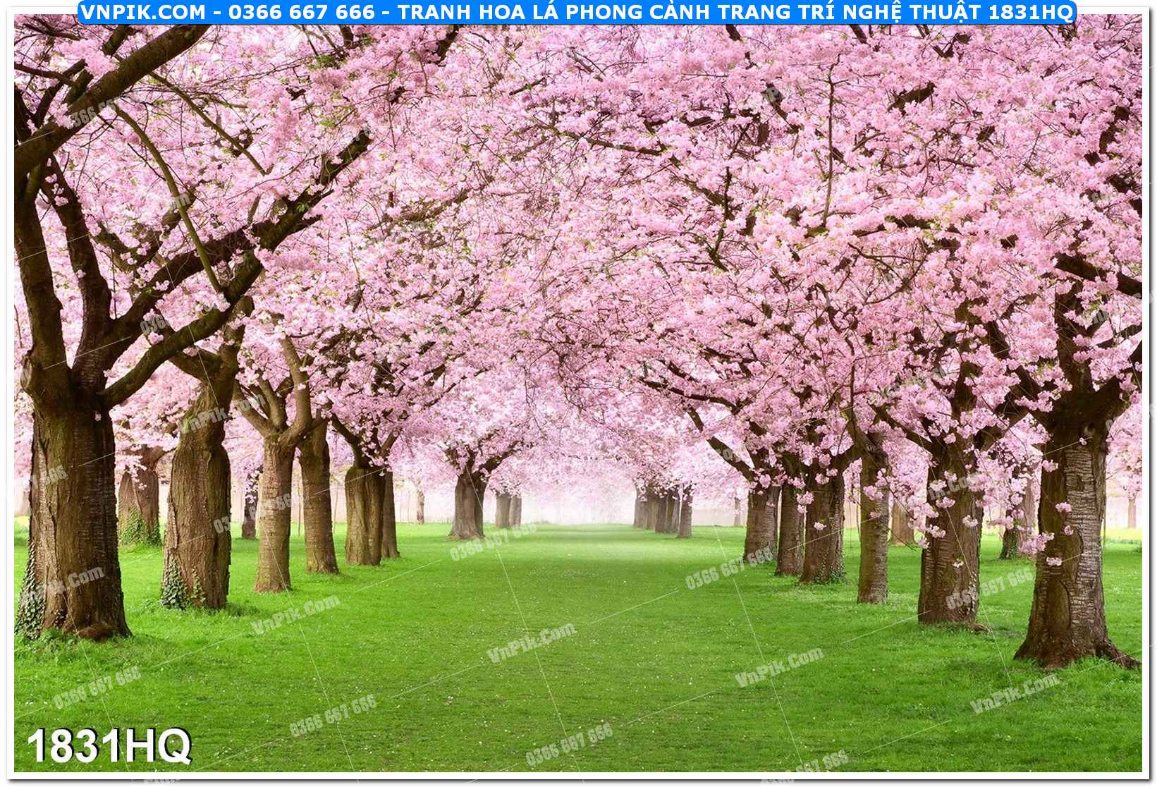 Tranh hoa lá phong cảnh trang trí nghệ thuật 1831HQ