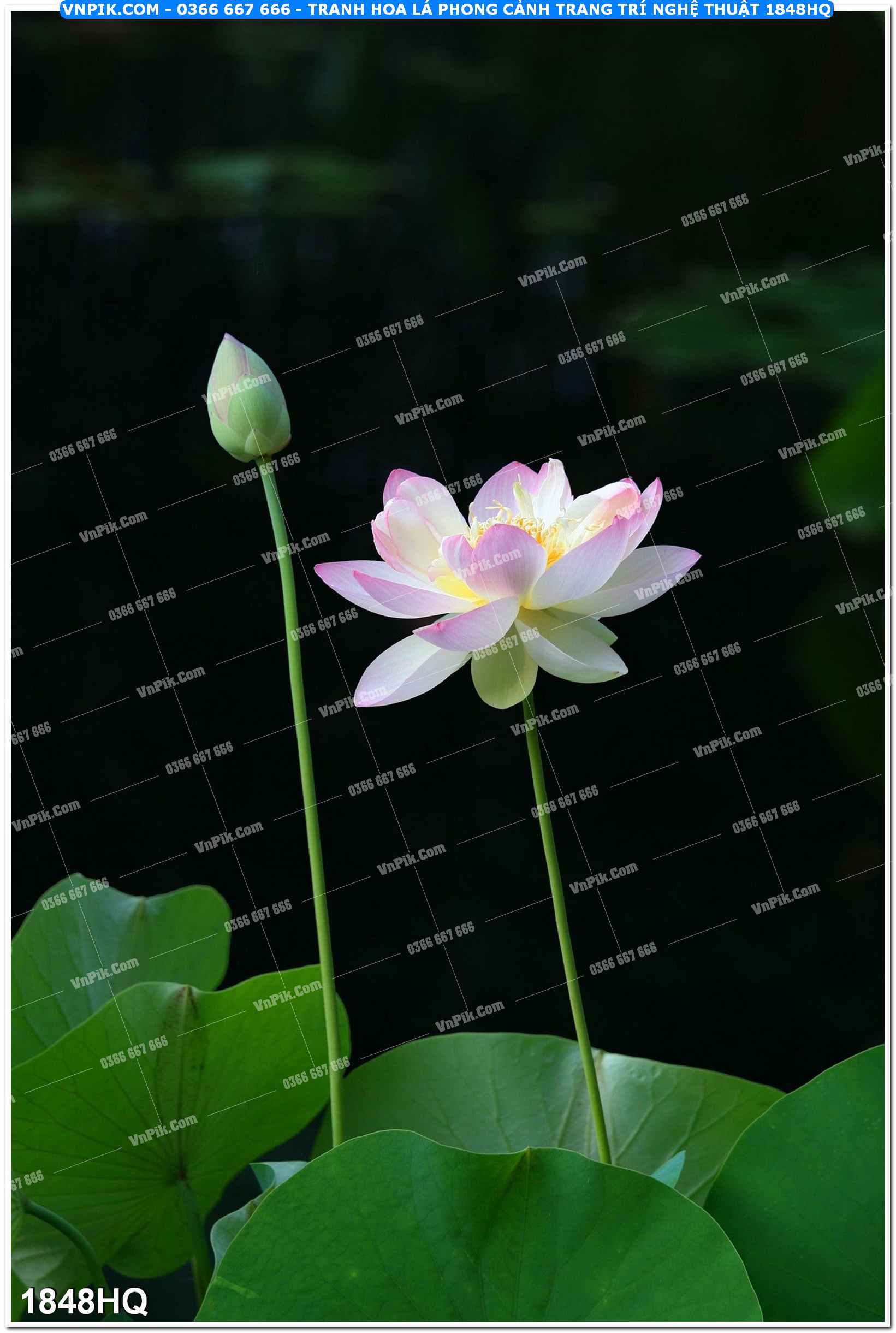 Tranh hoa lá phong cảnh trang trí nghệ thuật 1848HQ