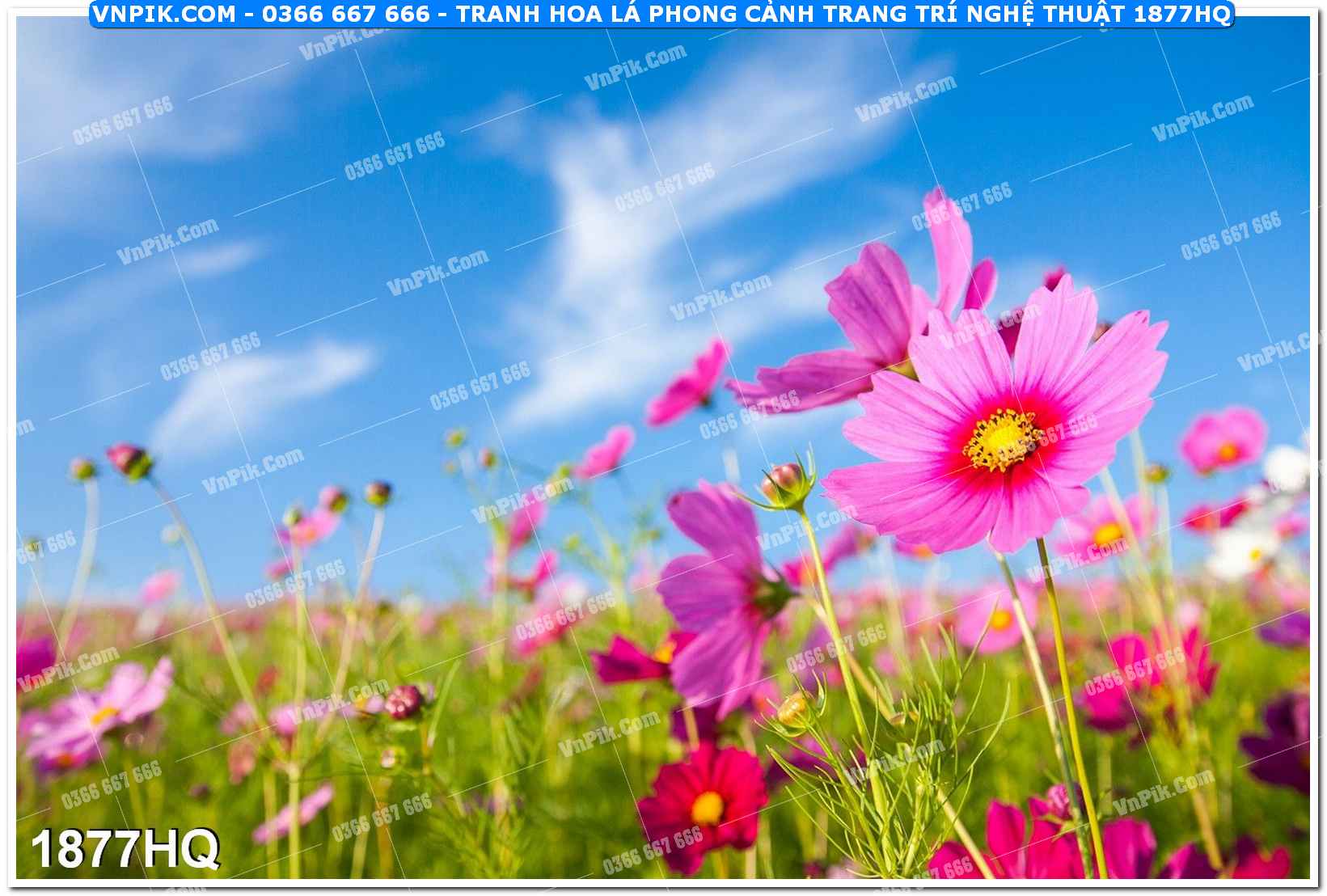 Tranh hoa lá phong cảnh trang trí nghệ thuật 1877HQ