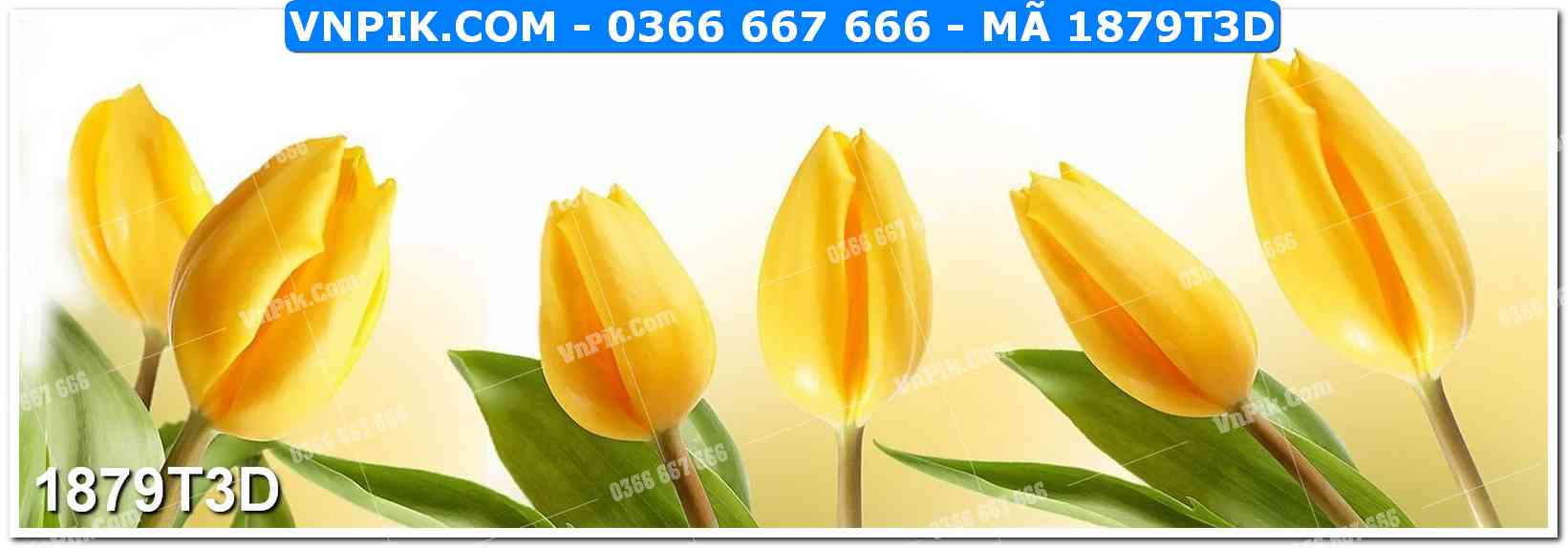 Trah Treo Tường – Tranh 3D Hiện Đại 1879T3D