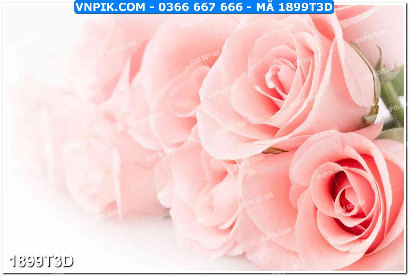 Trah Treo Tường – Tranh 3D Hiện Đại 1899T3D