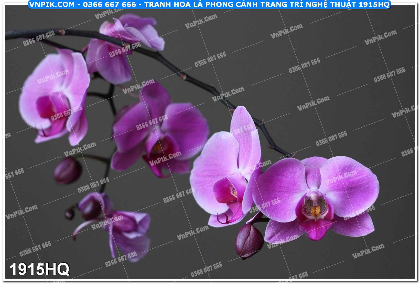 Tranh hoa lá phong cảnh trang trí nghệ thuật 1915HQ