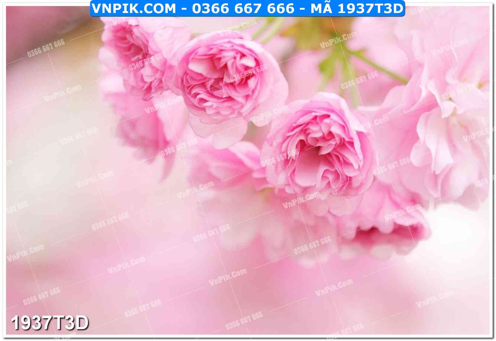 Trah Treo Tường – Tranh 3D Hiện Đại 1937T3D