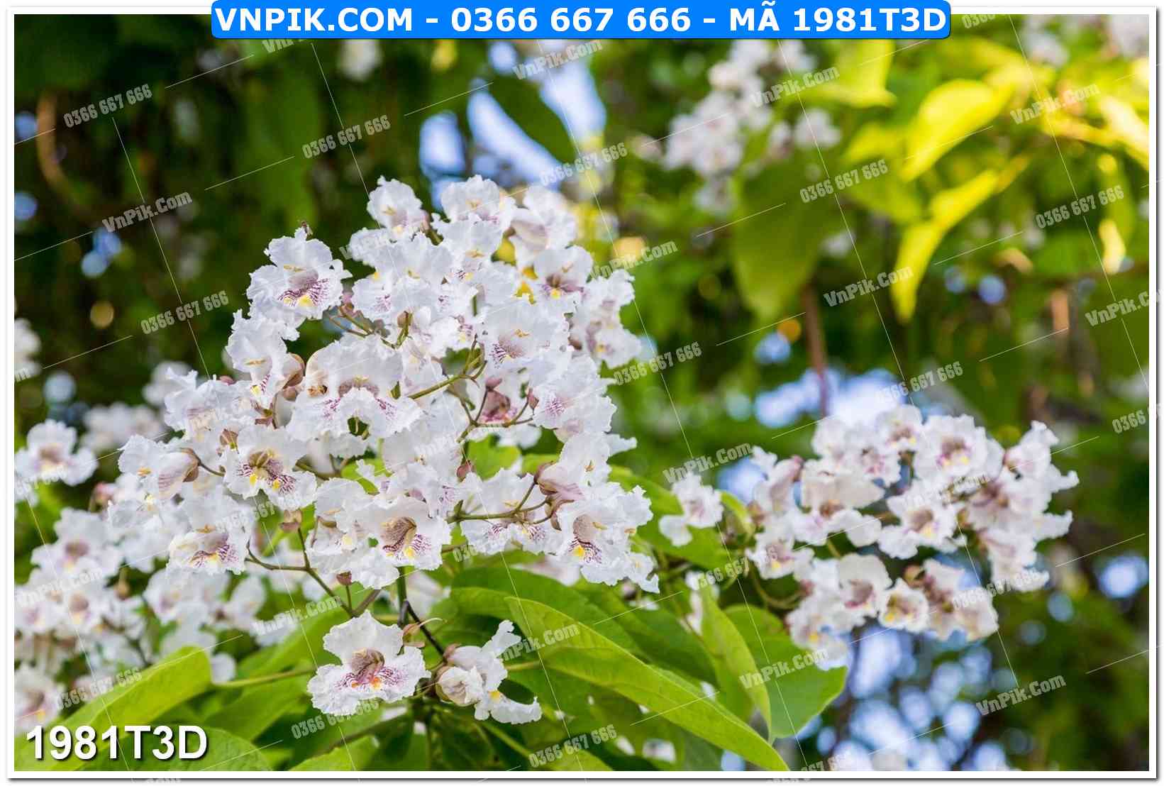 Trah Treo Tường – Tranh 3D Hiện Đại 1981T3D