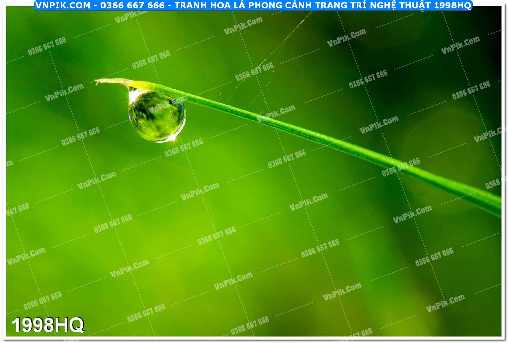 Tranh hoa lá phong cảnh trang trí nghệ thuật 1998HQ