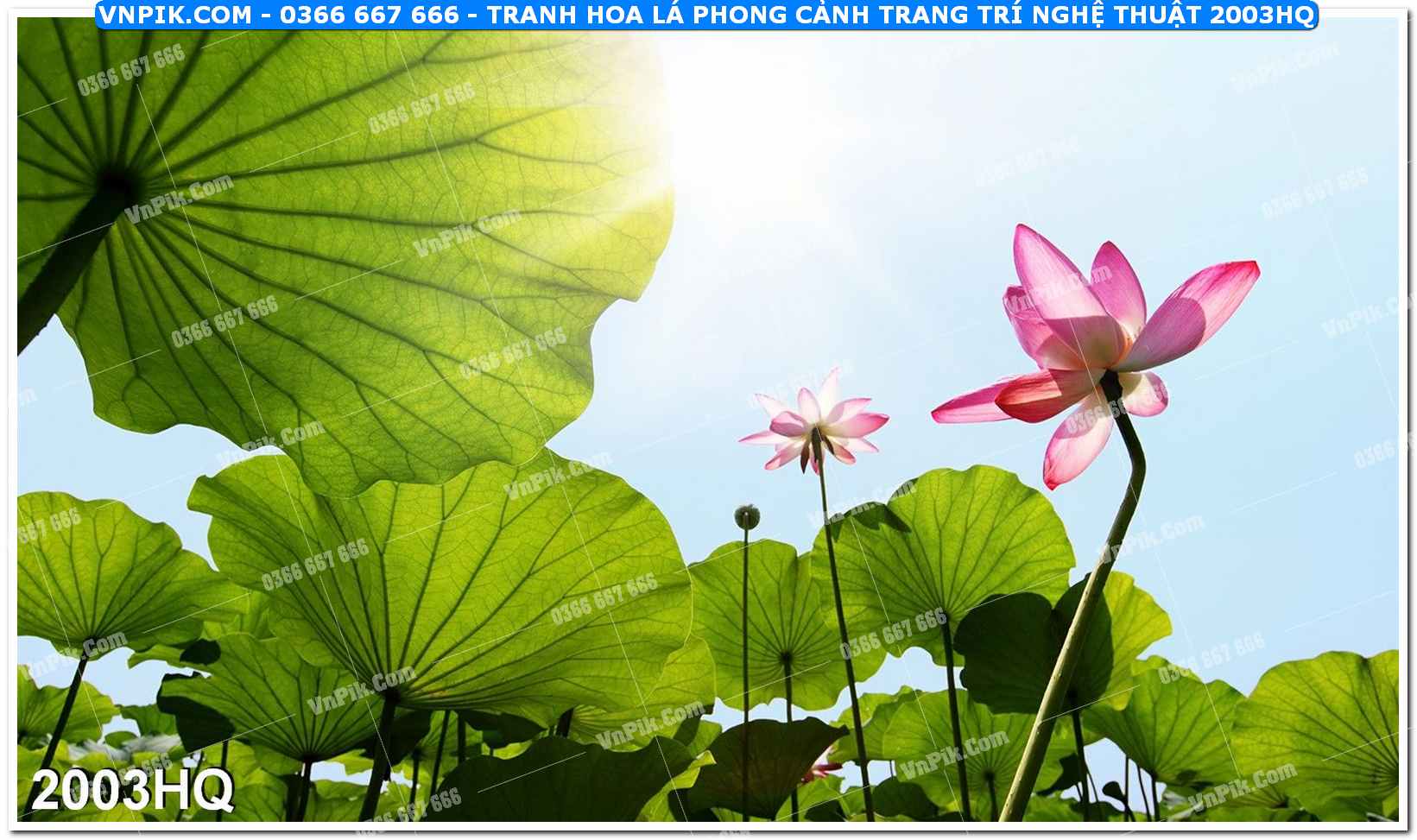 Tranh hoa lá phong cảnh trang trí nghệ thuật 2003HQ