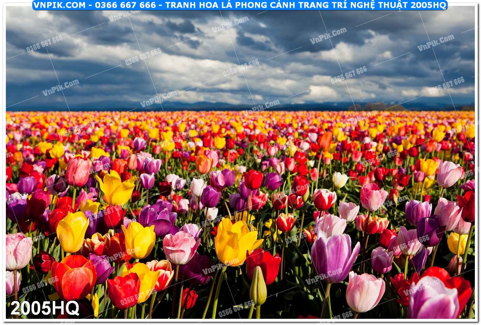 Tranh hoa lá phong cảnh trang trí nghệ thuật 2005HQ