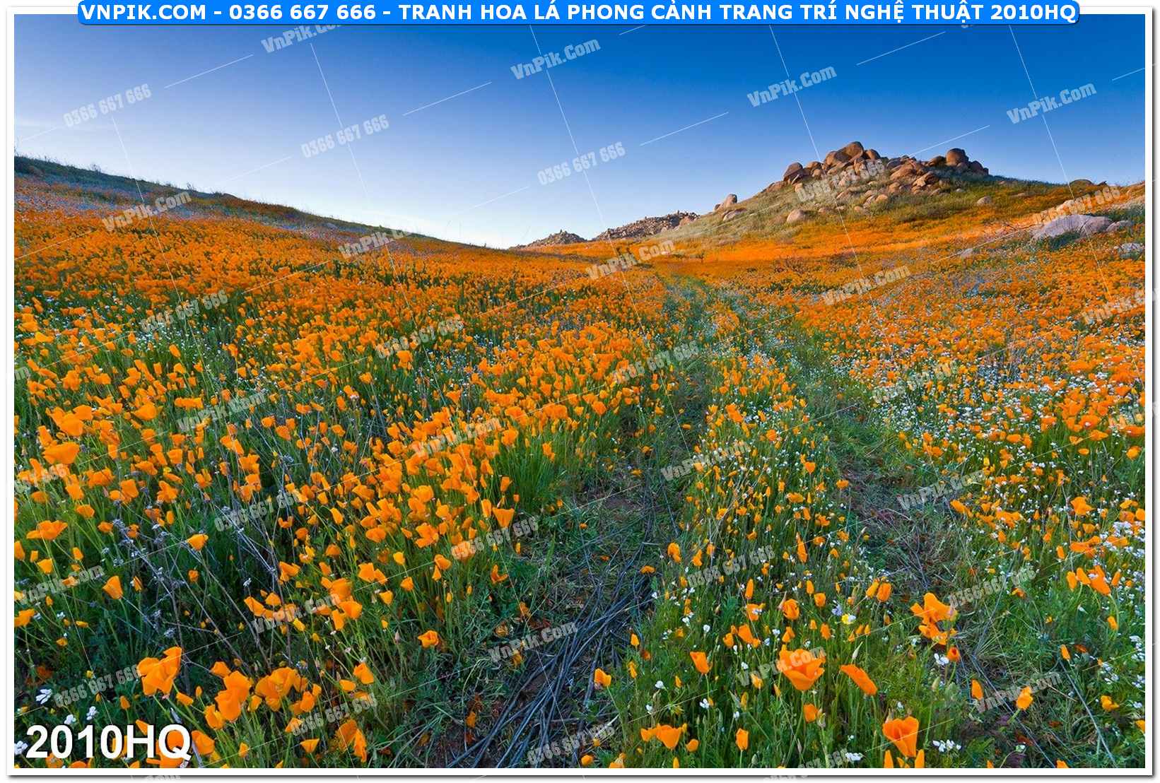Tranh hoa lá phong cảnh trang trí nghệ thuật 2010HQ