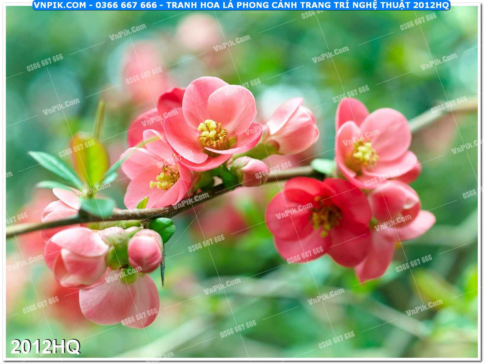 Tranh hoa lá phong cảnh trang trí nghệ thuật 2012HQ