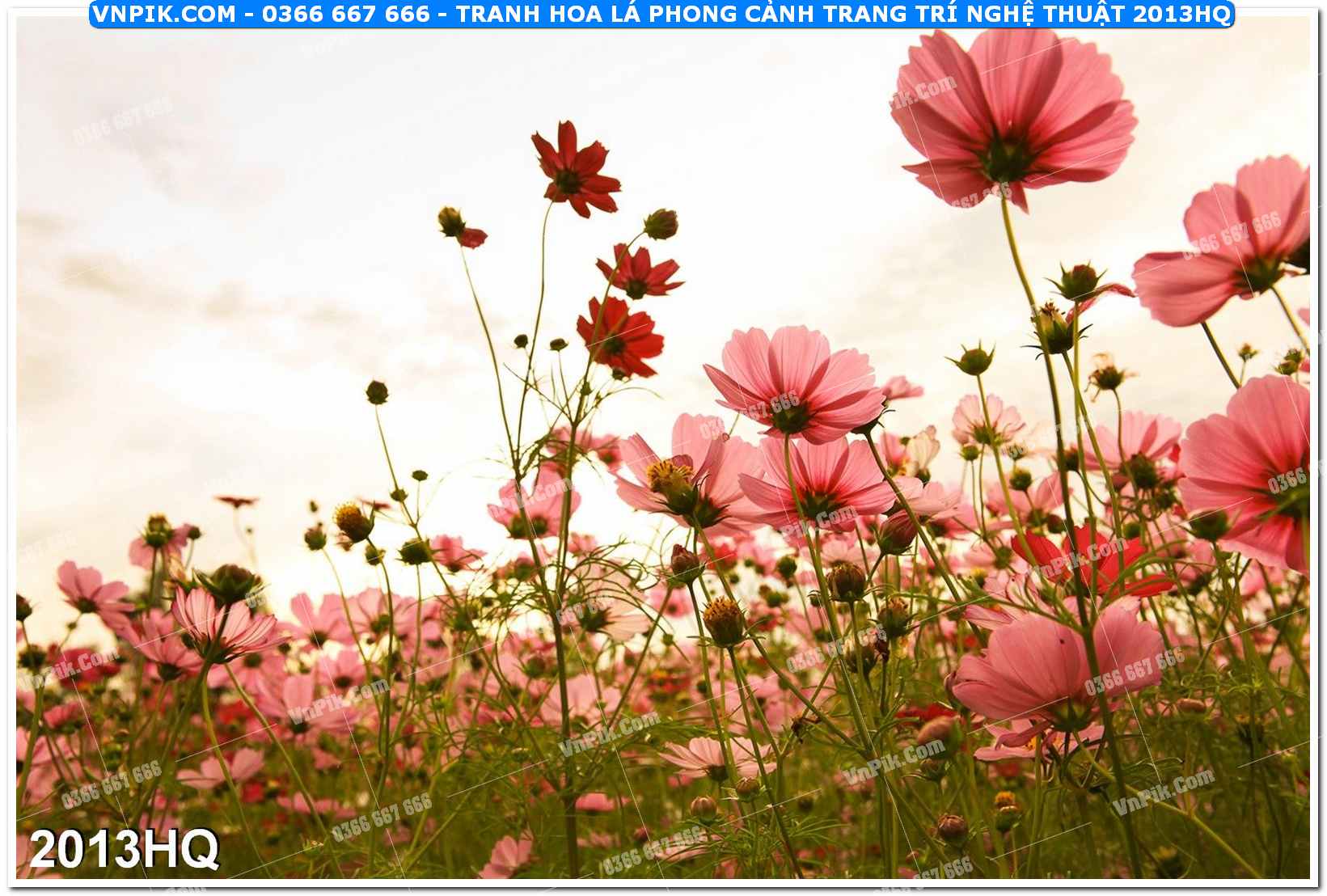 Tranh hoa lá phong cảnh trang trí nghệ thuật 2013HQ