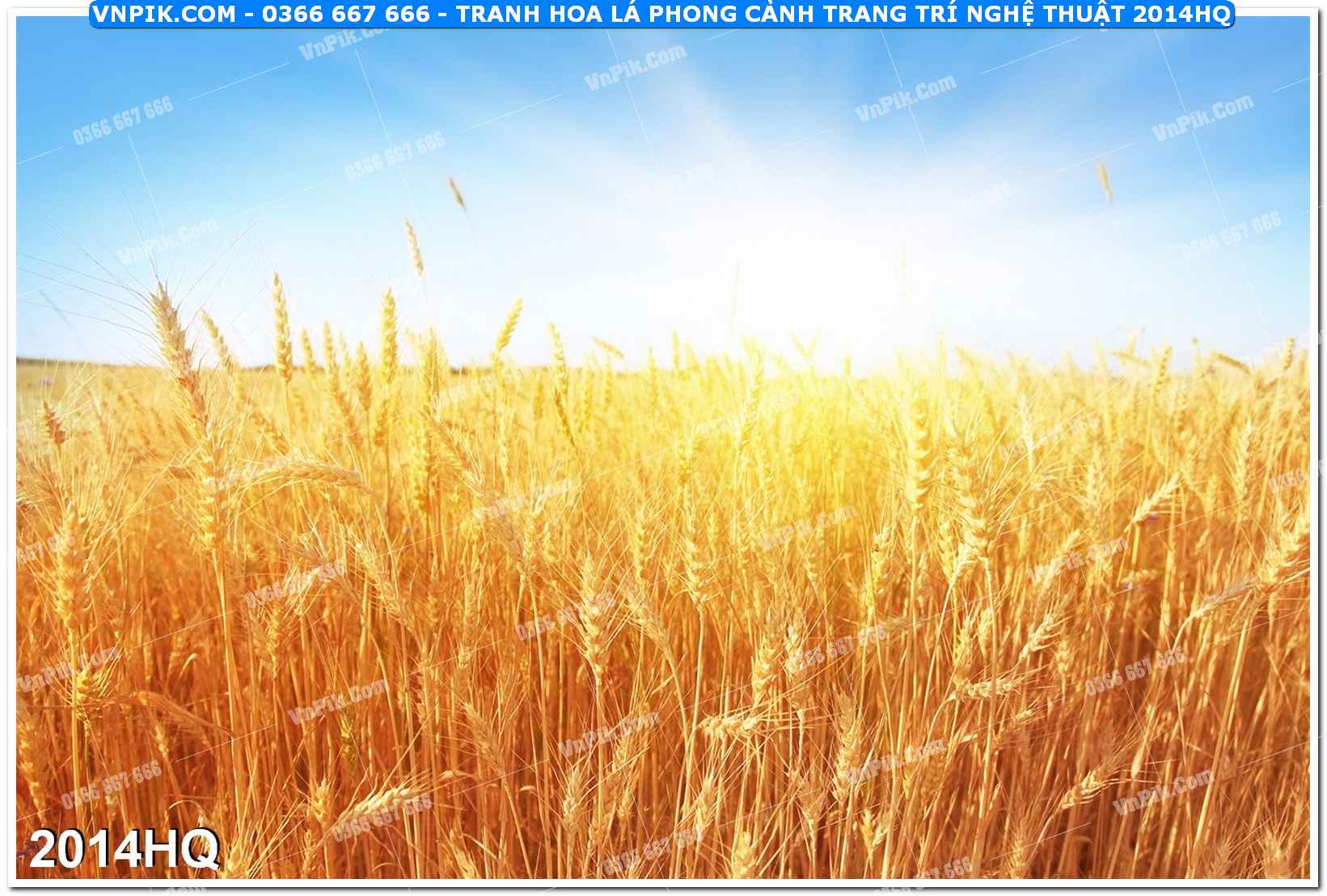 Tranh hoa lá phong cảnh trang trí nghệ thuật 2014HQ