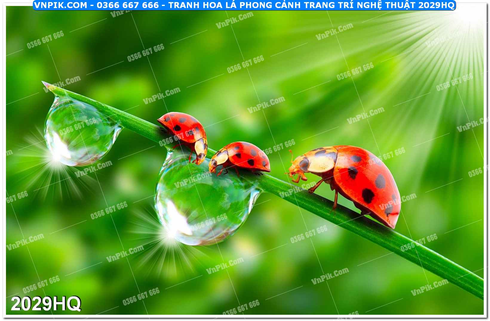 Tranh hoa lá phong cảnh trang trí nghệ thuật 2029HQ