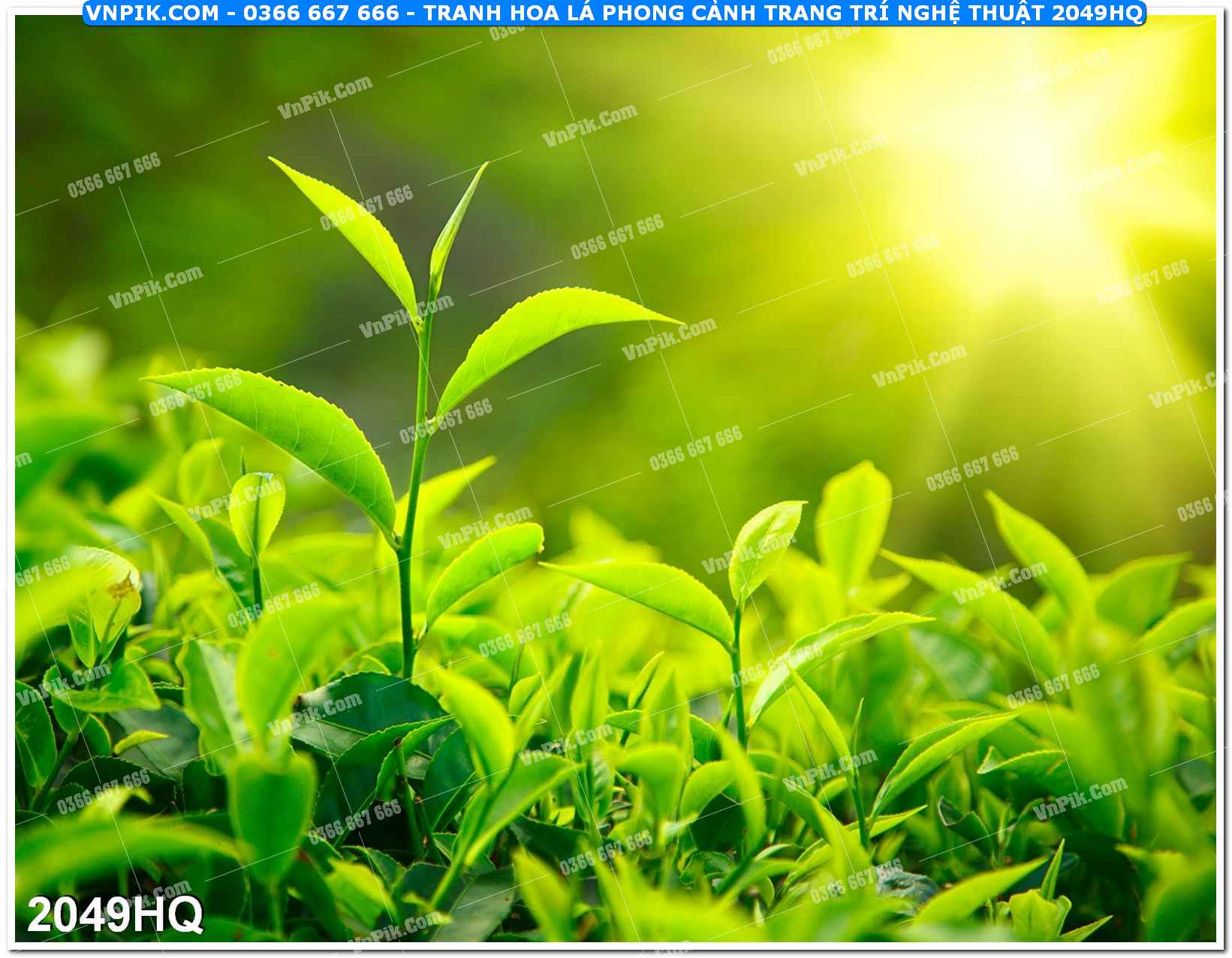 Tranh hoa lá phong cảnh trang trí nghệ thuật 2049HQ