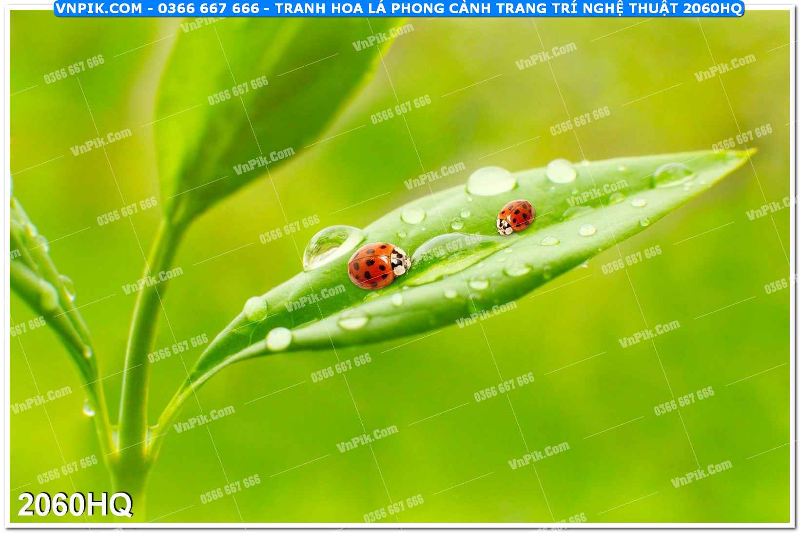 Tranh hoa lá phong cảnh trang trí nghệ thuật 2060HQ