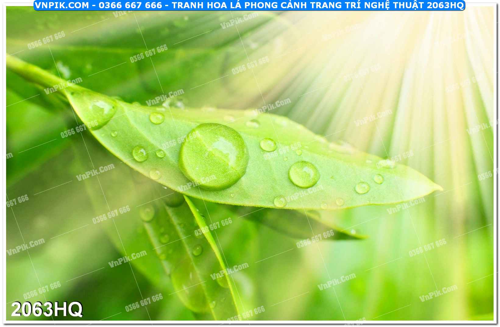 Tranh hoa lá phong cảnh trang trí nghệ thuật 2063HQ