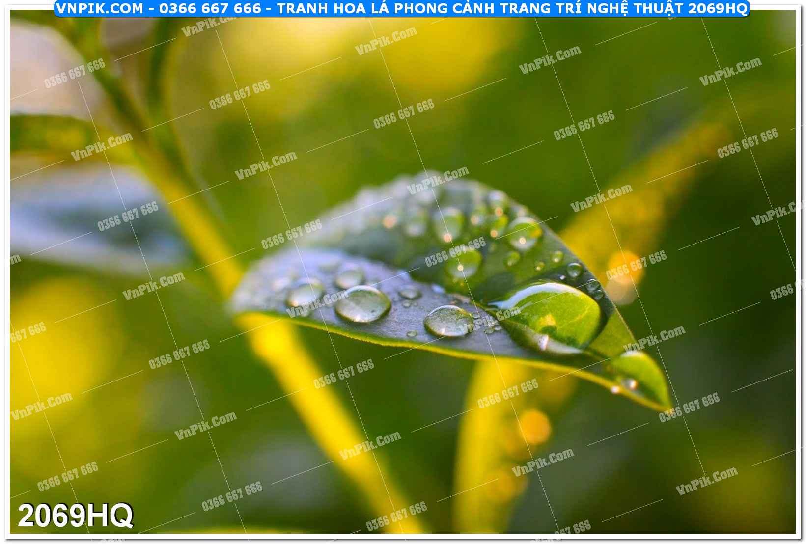 Tranh hoa lá phong cảnh trang trí nghệ thuật 2069HQ