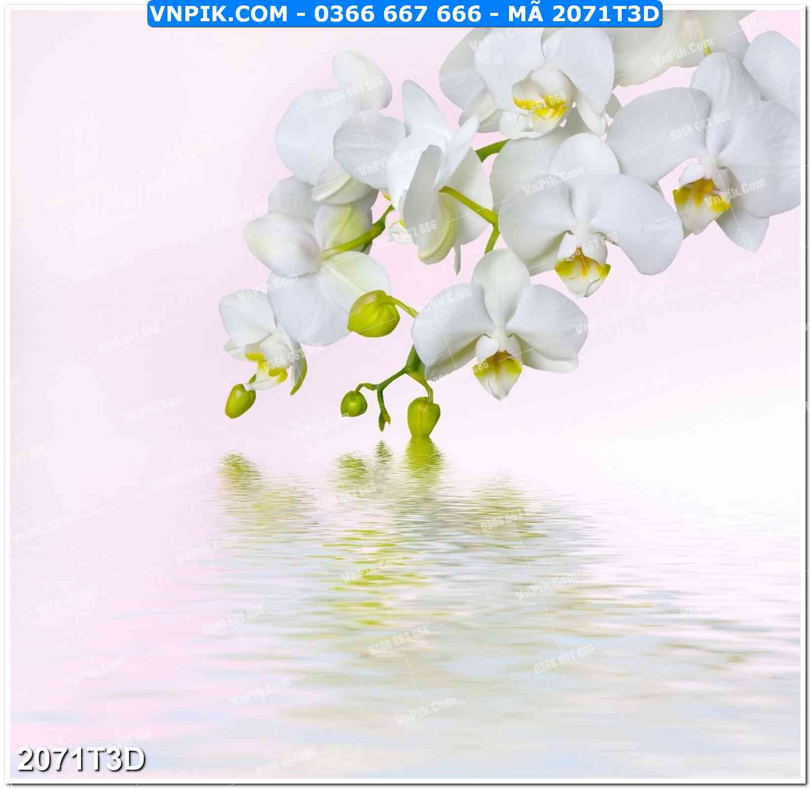 Trah Treo Tường – Tranh 3D Hiện Đại 2071T3D