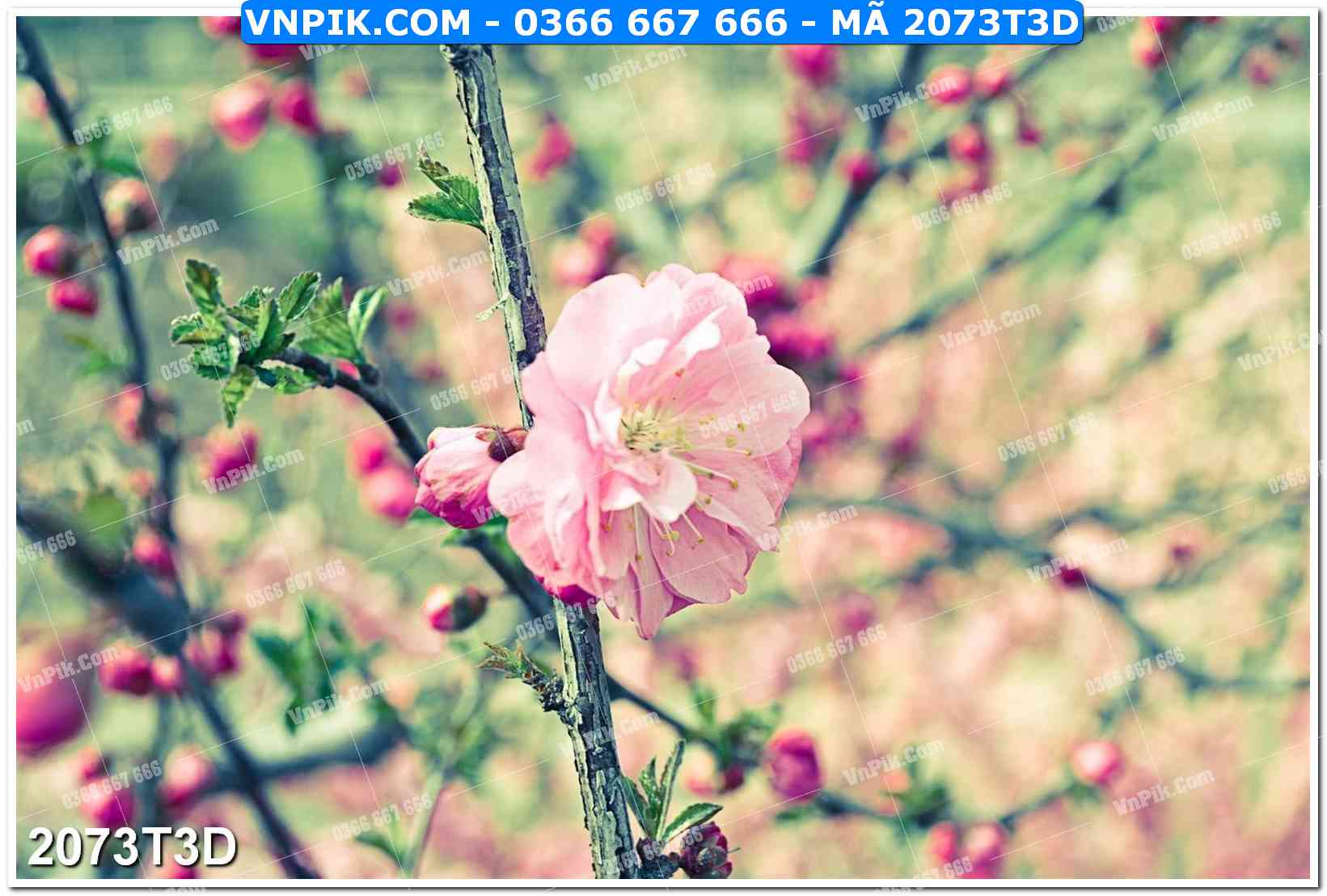 Trah Treo Tường – Tranh 3D Hiện Đại 2073T3D