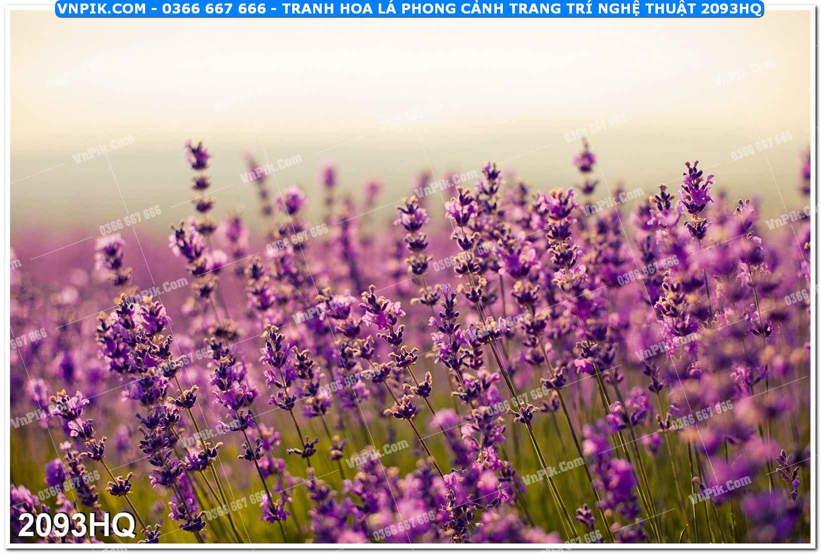 Tranh hoa lá phong cảnh trang trí nghệ thuật 2093HQ