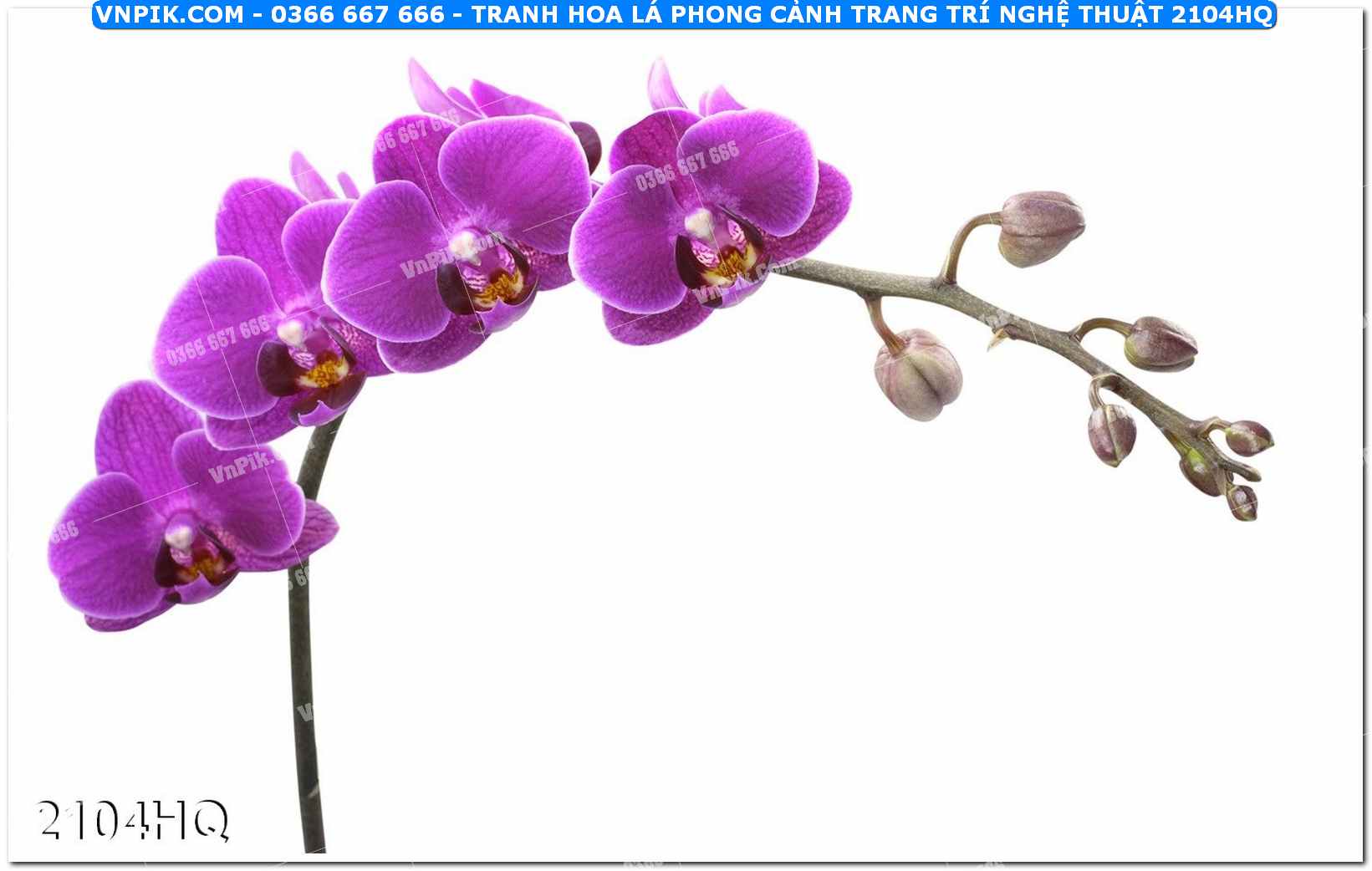 Tranh hoa lá phong cảnh trang trí nghệ thuật 2104HQ