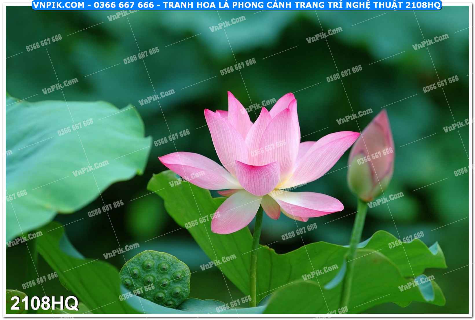 Tranh hoa lá phong cảnh trang trí nghệ thuật 2108HQ