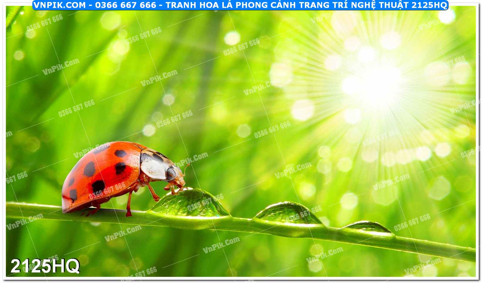 Tranh hoa lá phong cảnh trang trí nghệ thuật 2125HQ
