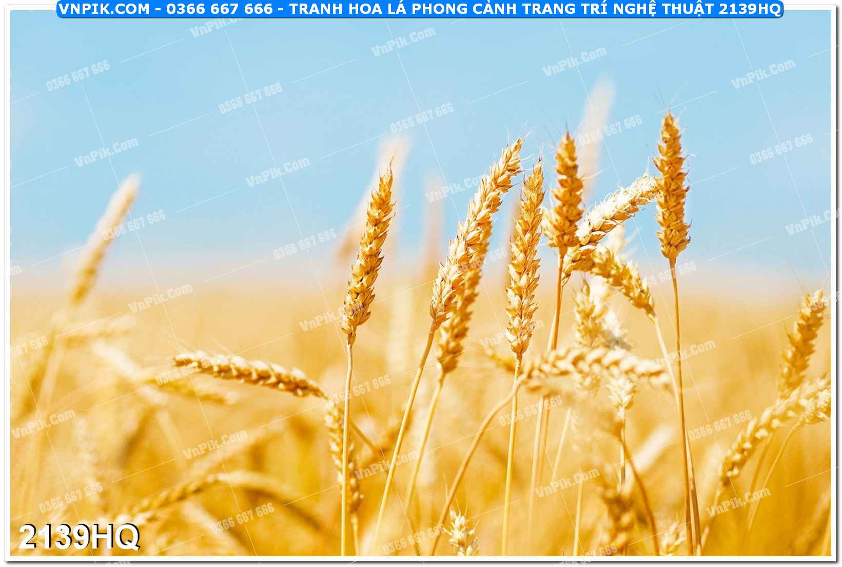 Tranh hoa lá phong cảnh trang trí nghệ thuật 2139HQ