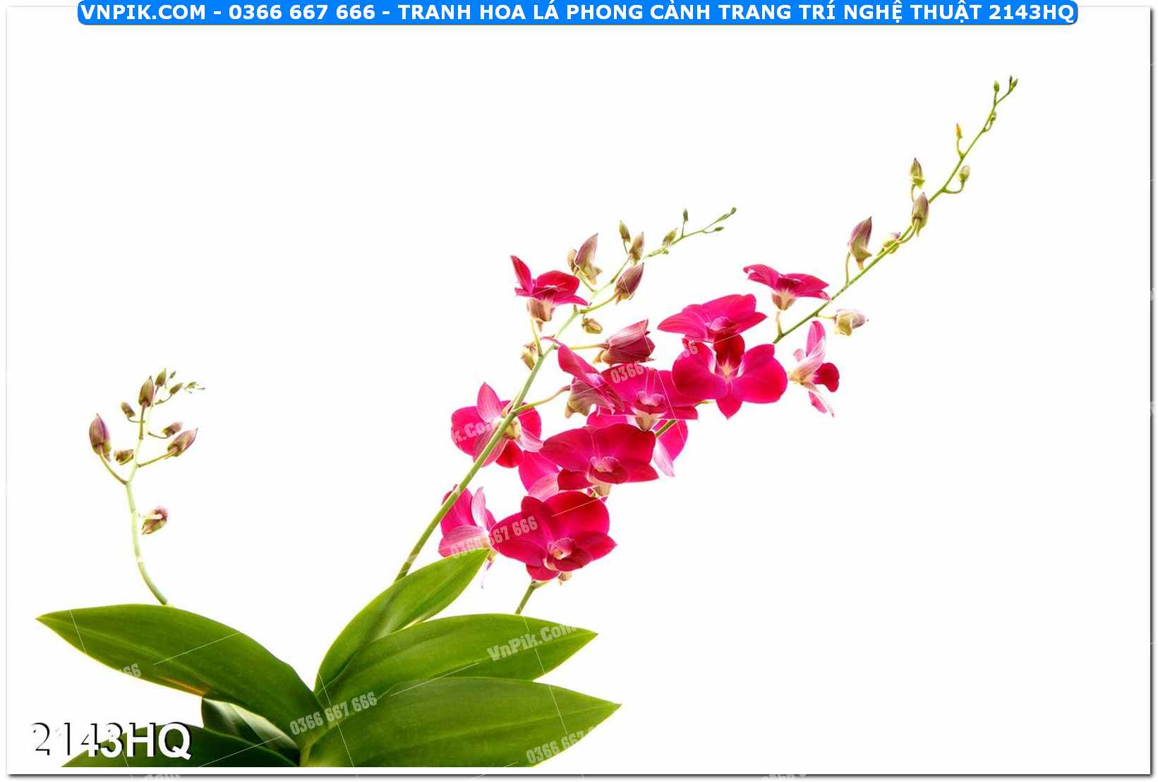 Tranh hoa lá phong cảnh trang trí nghệ thuật 2143HQ