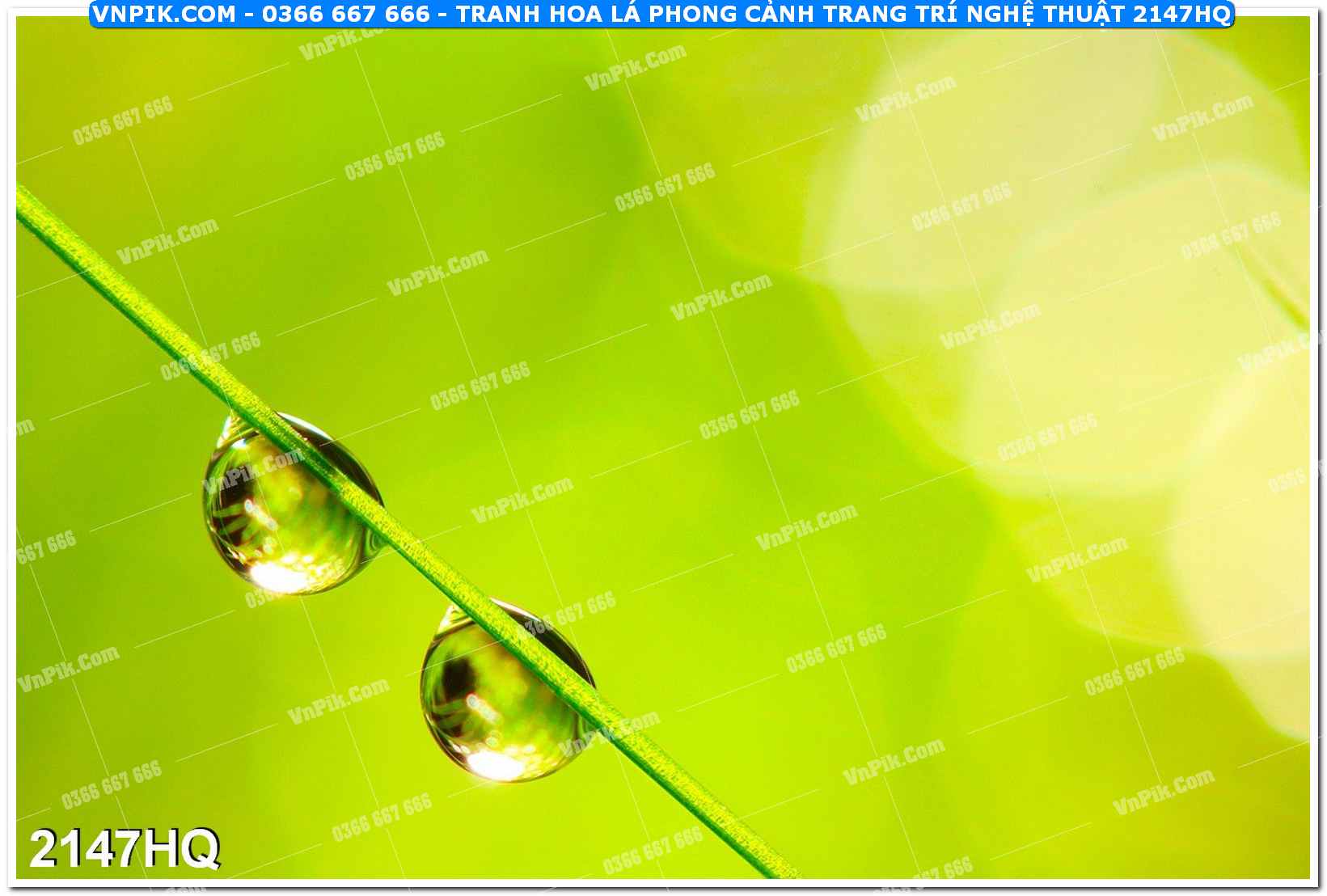 Tranh hoa lá phong cảnh trang trí nghệ thuật 2147HQ