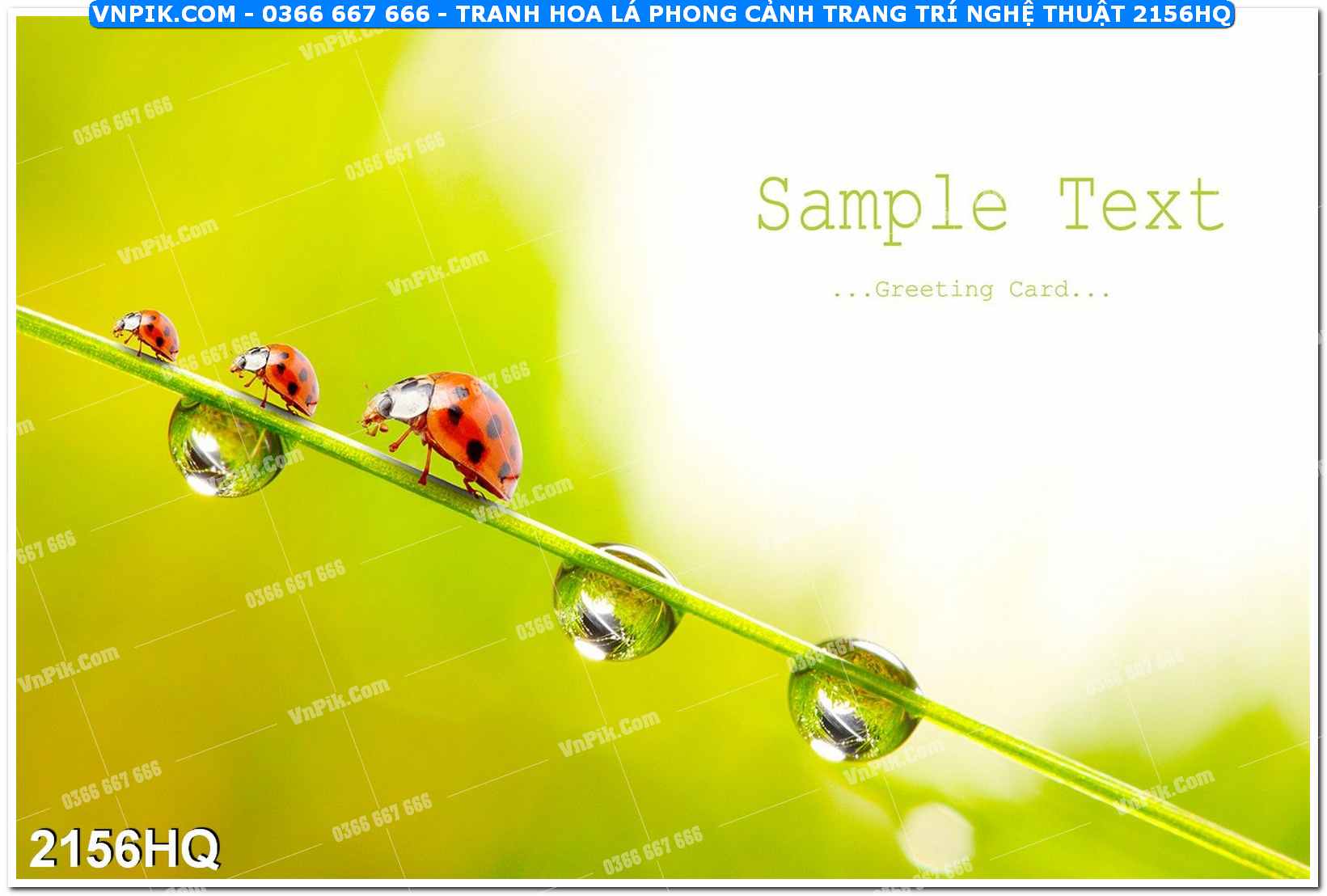 Tranh hoa lá phong cảnh trang trí nghệ thuật 2156HQ