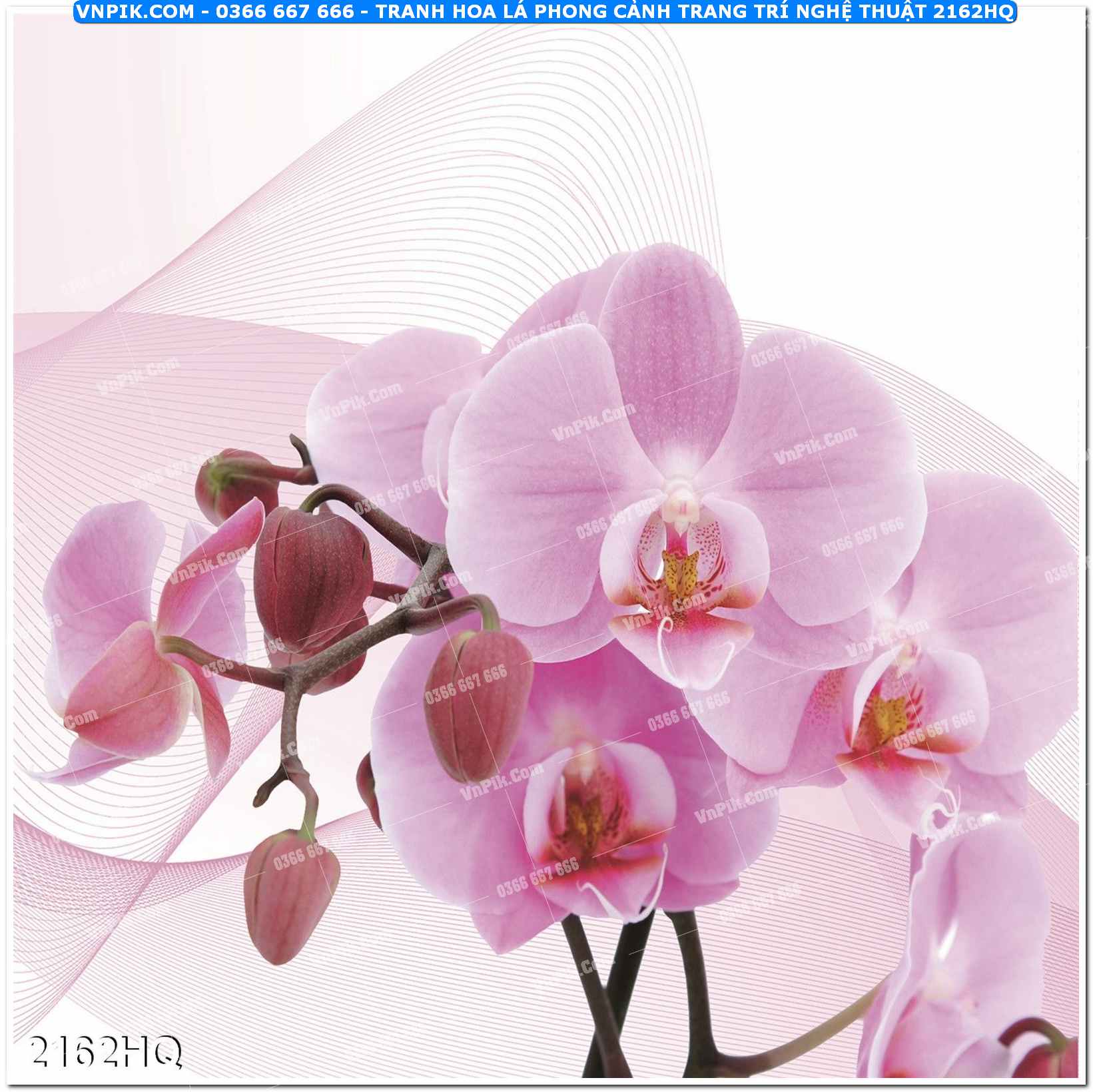 Tranh hoa lá phong cảnh trang trí nghệ thuật 2162HQ
